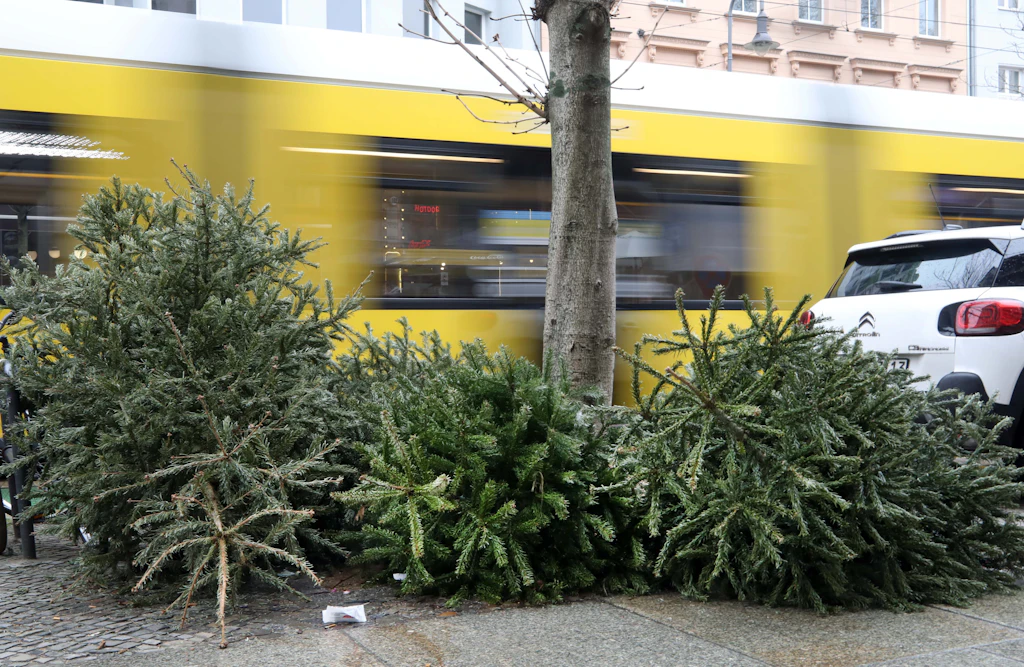Ganze Liste nach Bezirken: Wann werden die Weihnachtsbäume abgeholt?