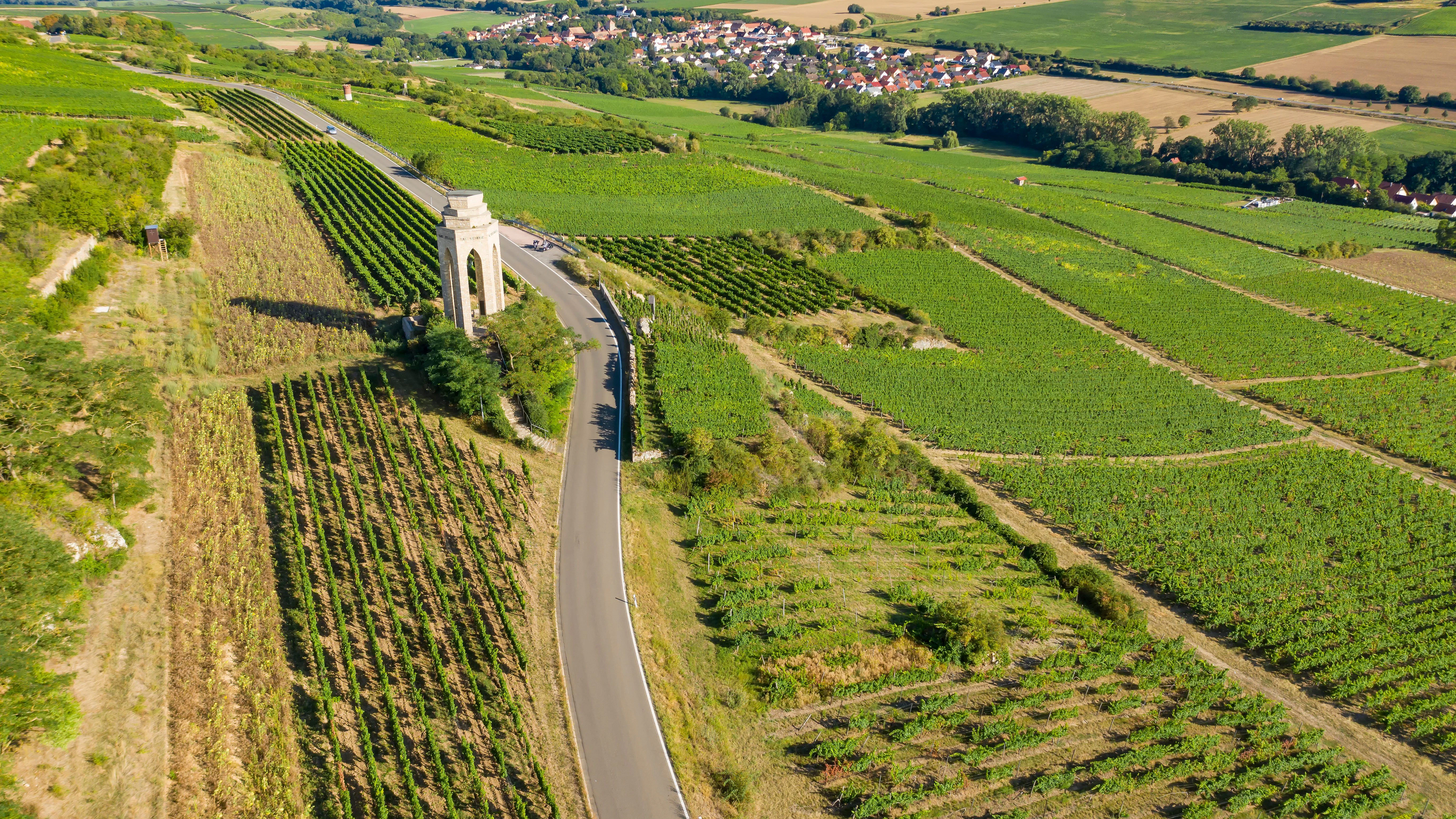 Weinberge im Zellertal. Aus dieser Gegend kommt der Wein von Robin Gosens, Mats Hummels und Christoph Kramer.