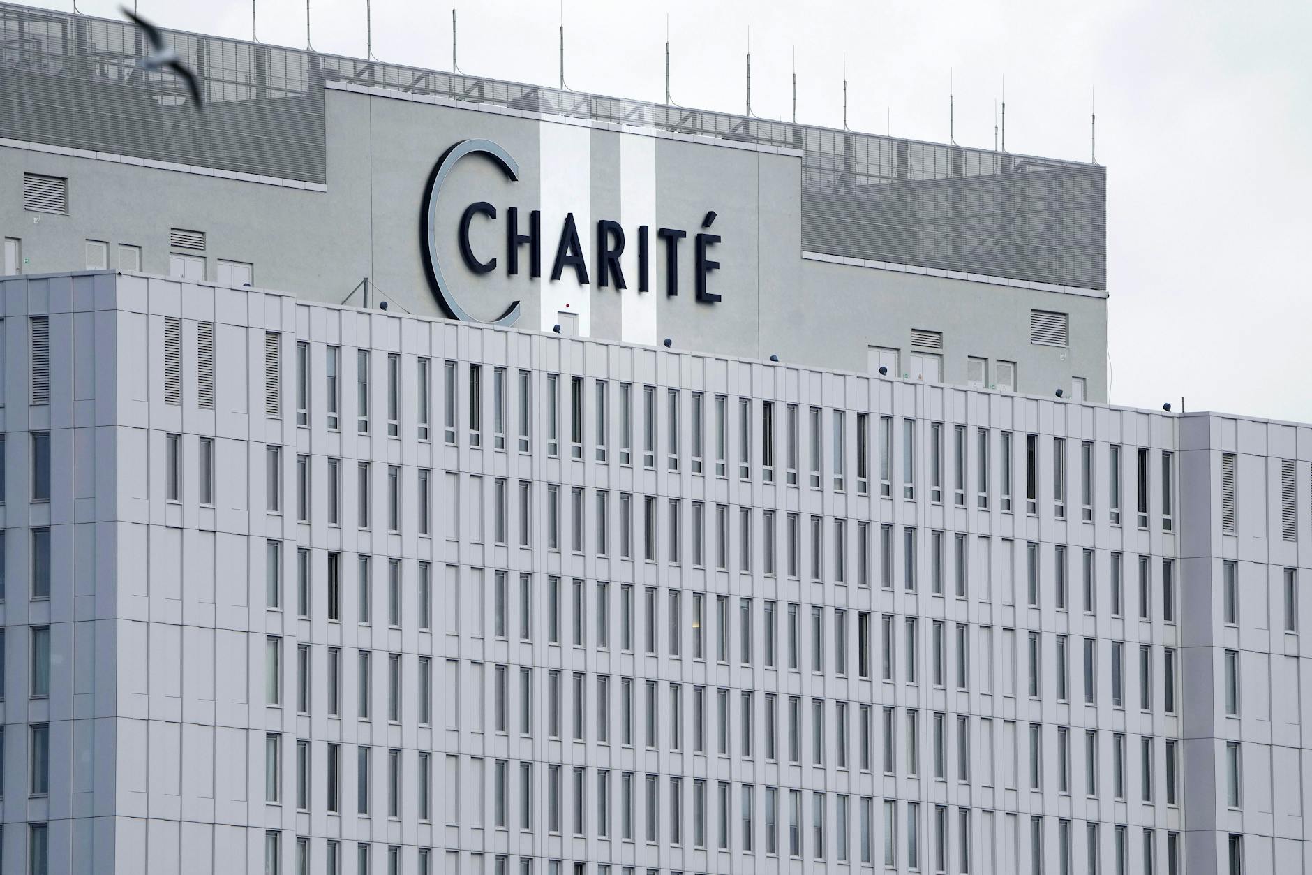 Die Charité ist das traditionsreichste Krankenhaus Berlins und eine der größten Universitätskliniken Europas.