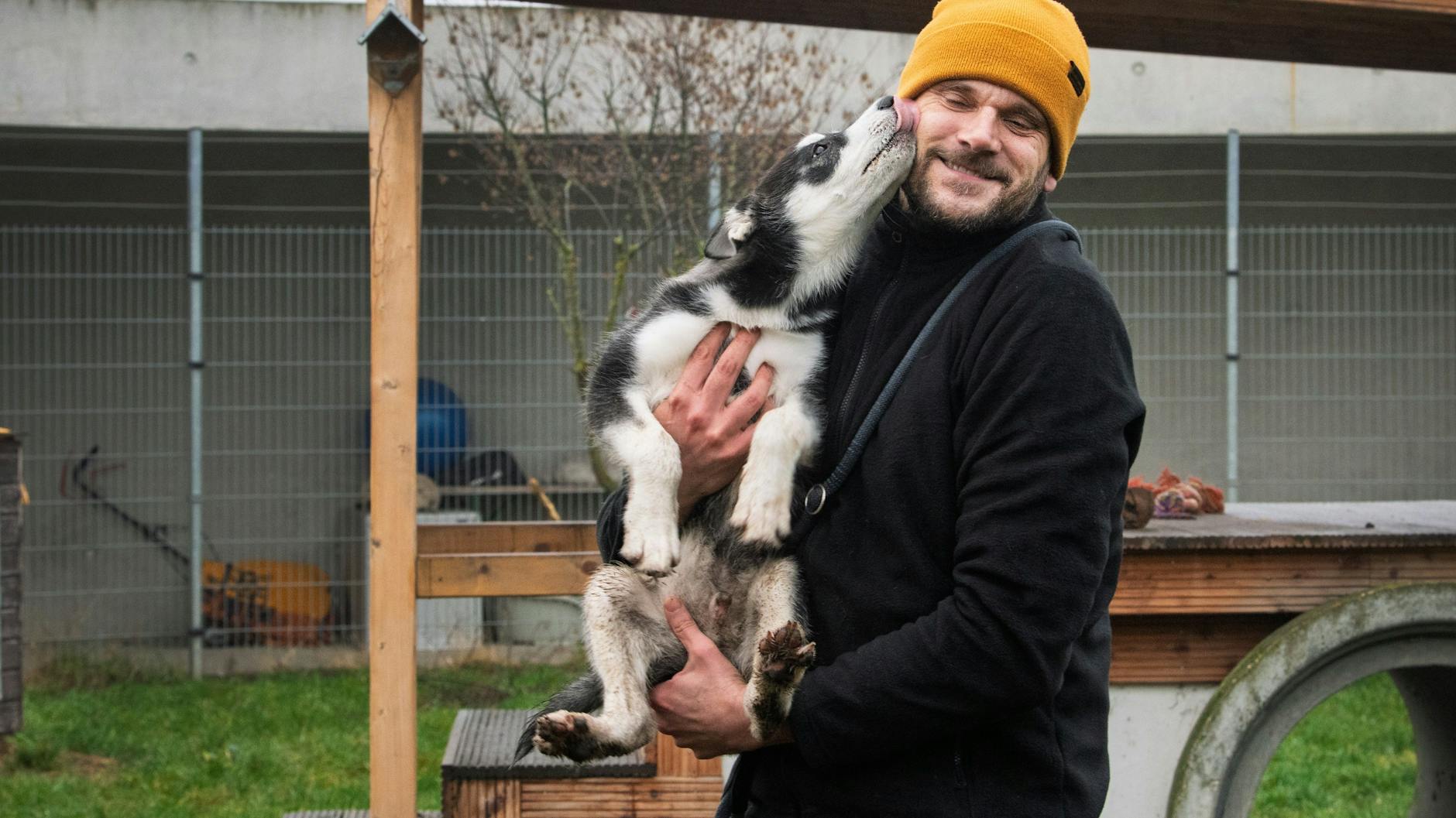 Der Husky aus der S-Bahn mit seinem Tierpfleger Stefan im Tierheim Berlin.