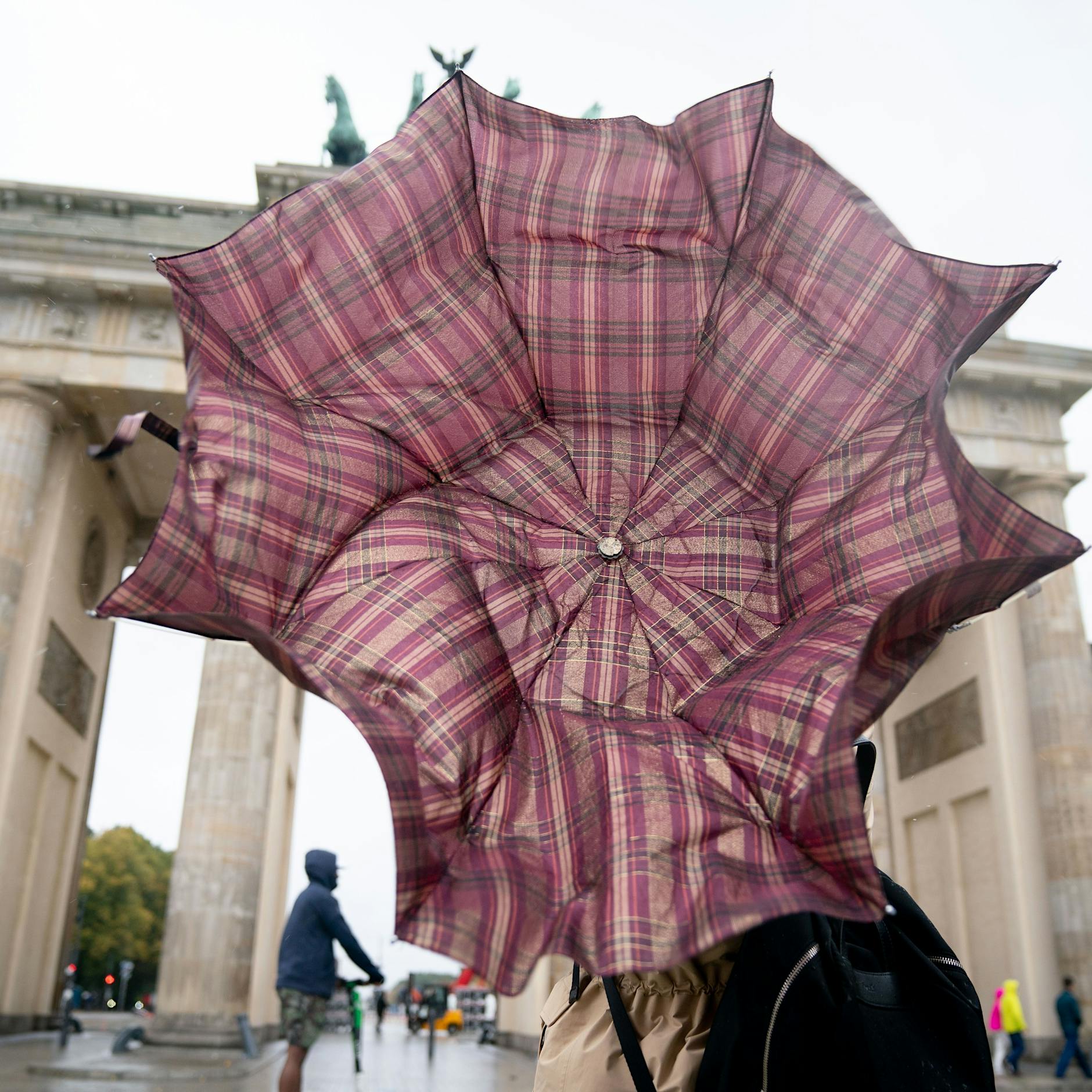 Das lokale Wetter für Berlin & Brandenburg: Frost, Nebel, Sturm!