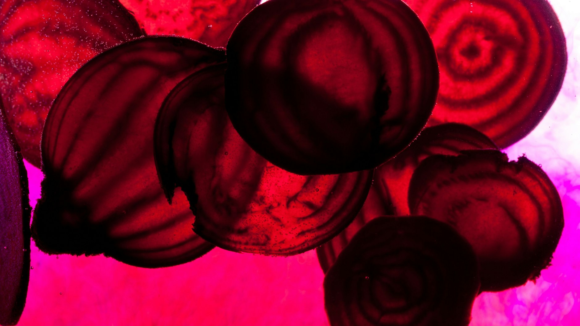 Rote Bete gehört auf jeden Fall rein in den vegetarischen Borschtsch.