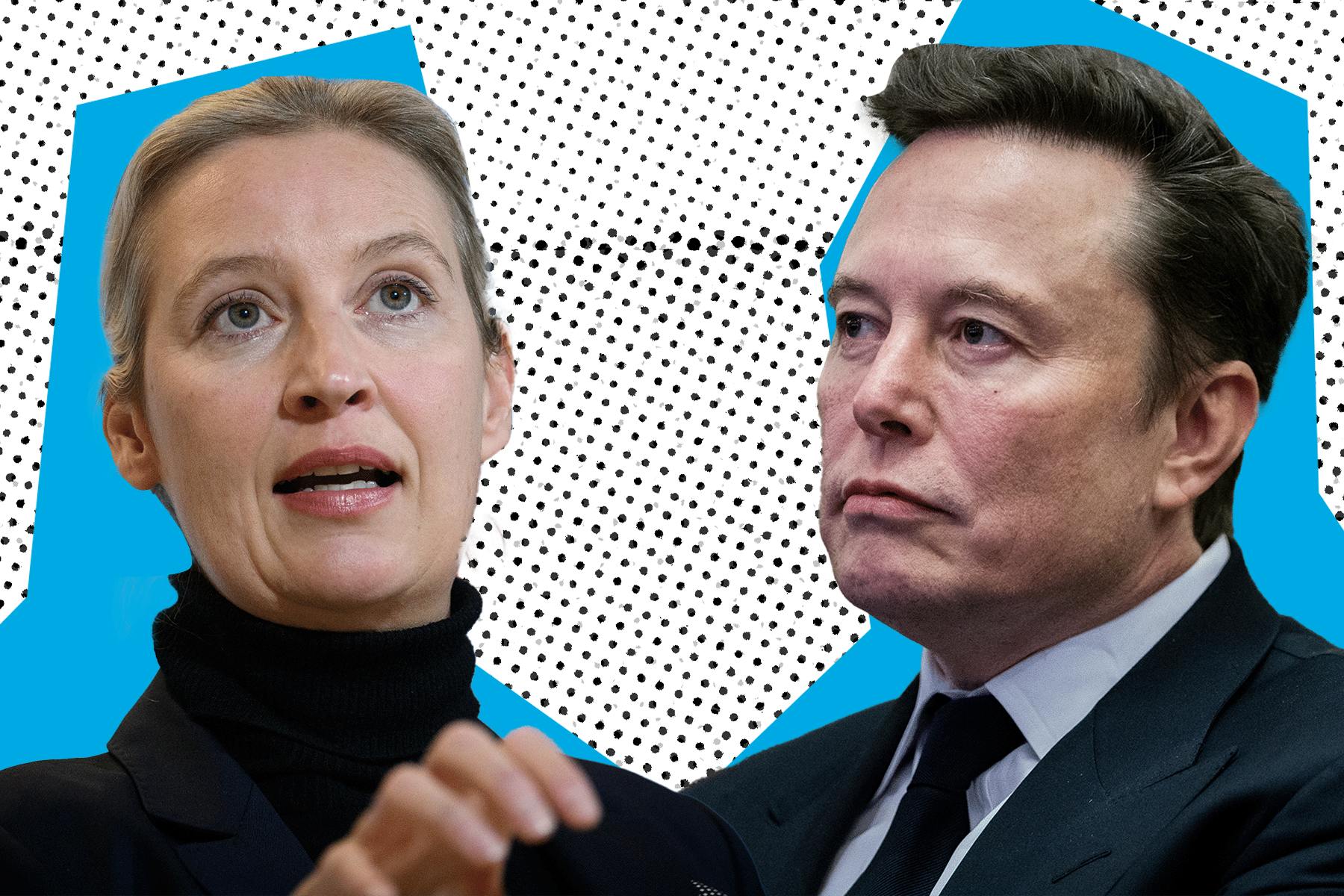 Treffen AfD-Kanzlerkandidatin Alice Weidel und der amerikanische Unternehmer Elon Musk bald in einem Livestream auf X aufeinander?