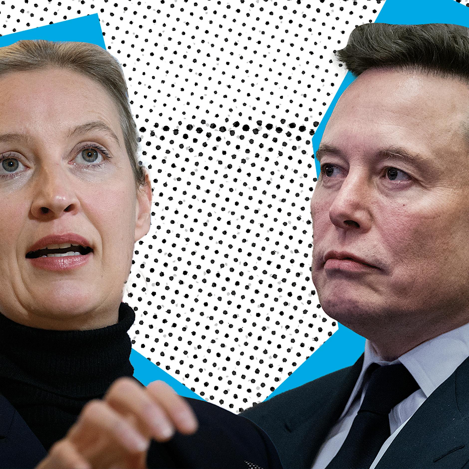 Nach Wahlempfehlung: Fordert Elon Musk jetzt AfD-Kanzlerkandidatin Alice Weidel zum Duell heraus?