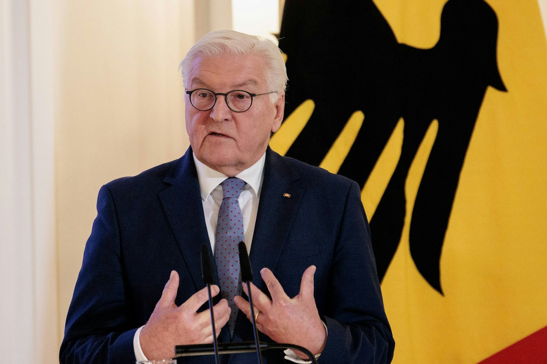 Bundespräsident Frank-Walter Steinmeier wurde von Elon Musk kritisiert.