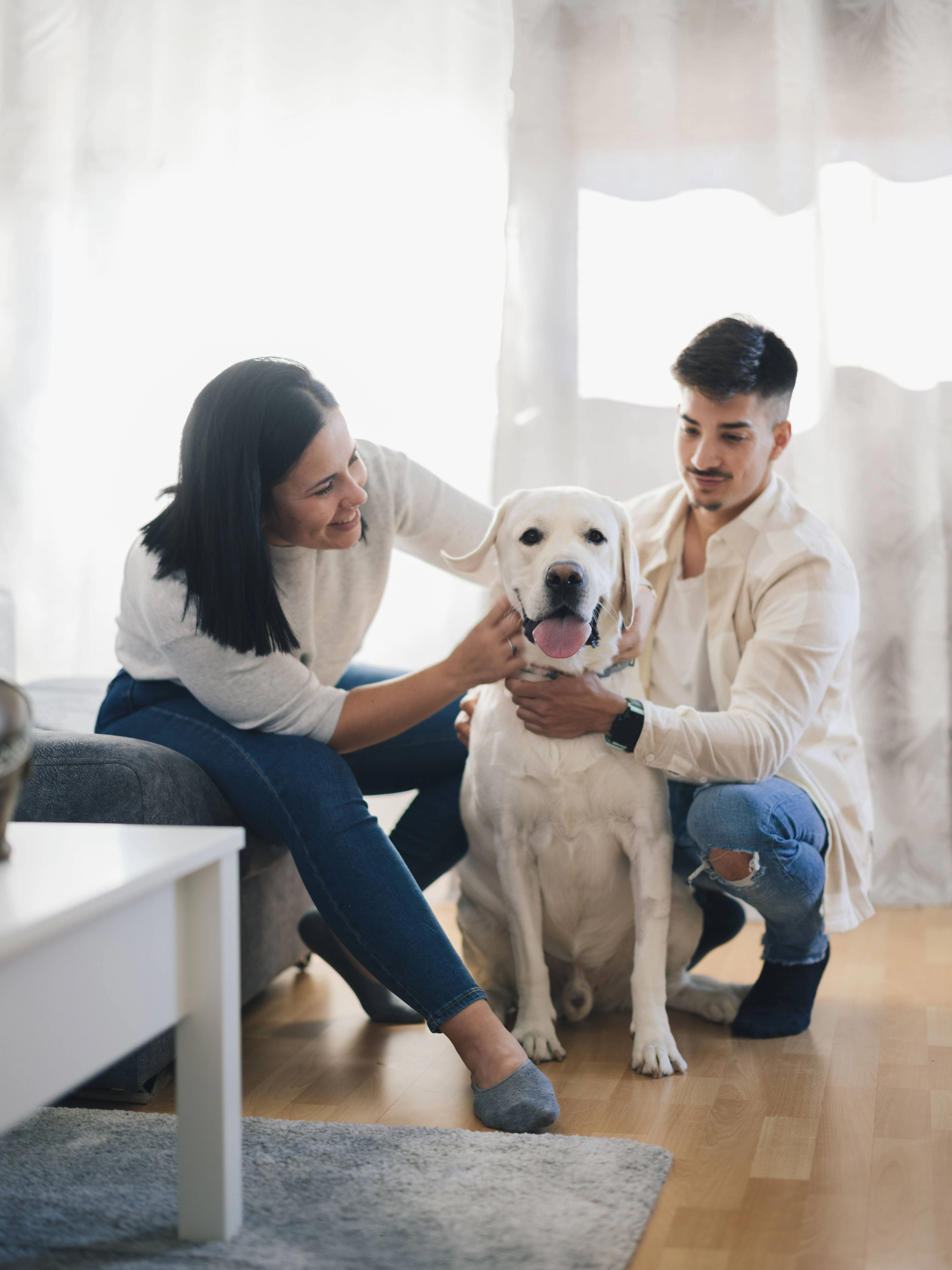 Den Hund sollte man nicht schon gleich bei der Ankunft überfordern.