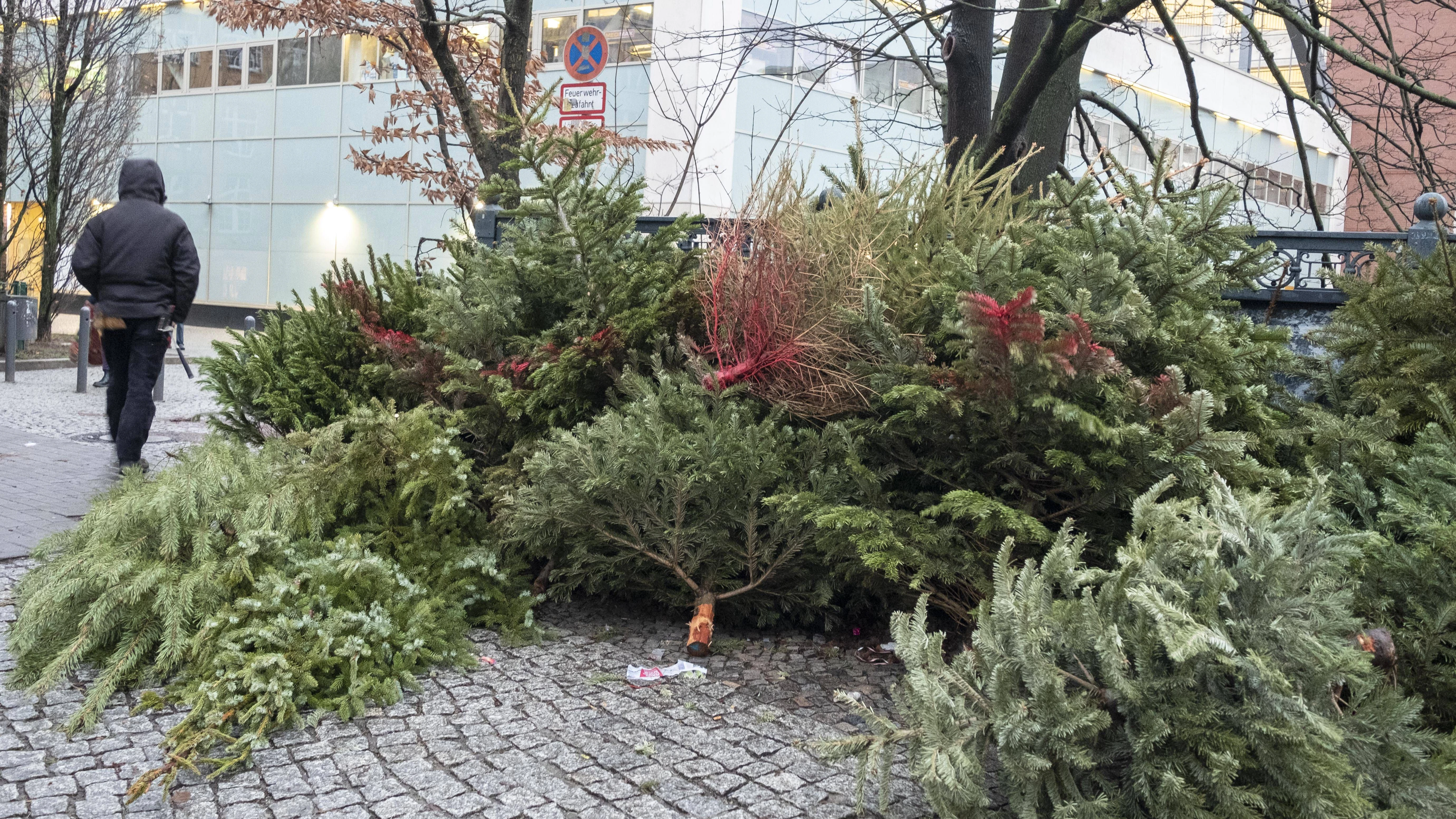 Nur abgeschmückte Weihnachtsbäume dürfen auf die Straße gelegt werden.