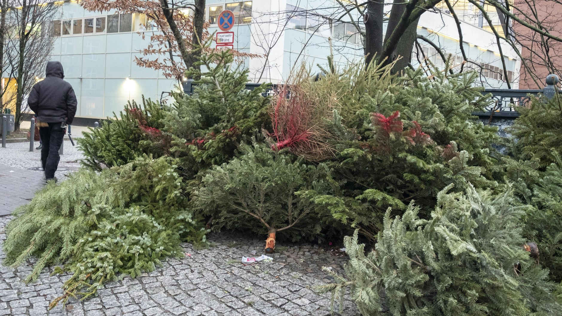 Nur abgeschmückte Weihnachtsbäume dürfen auf die Straße gelegt werden.