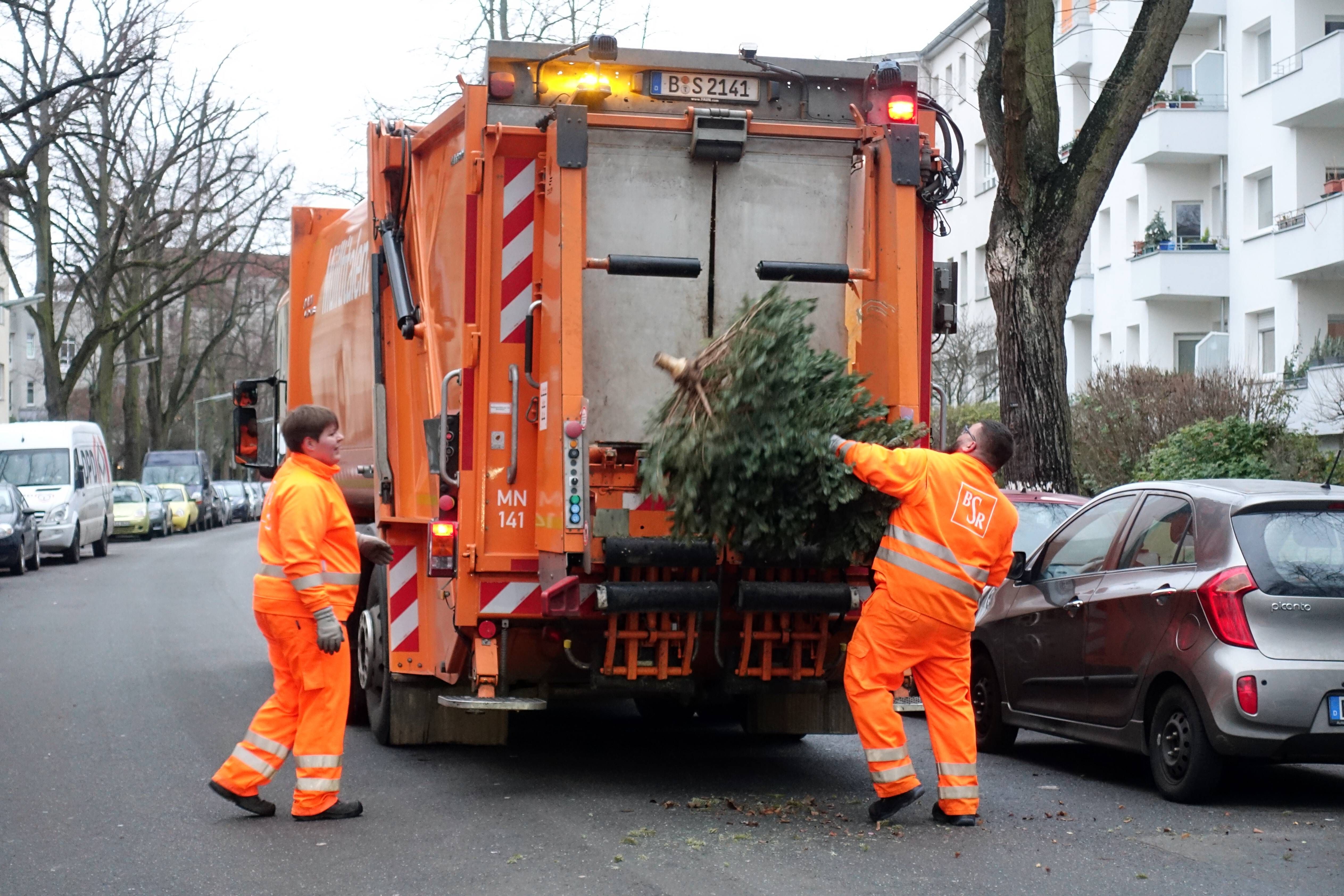 Tschüss Tannenbaum! Hier gibt’s die Abholtermine der Stadtreinigung