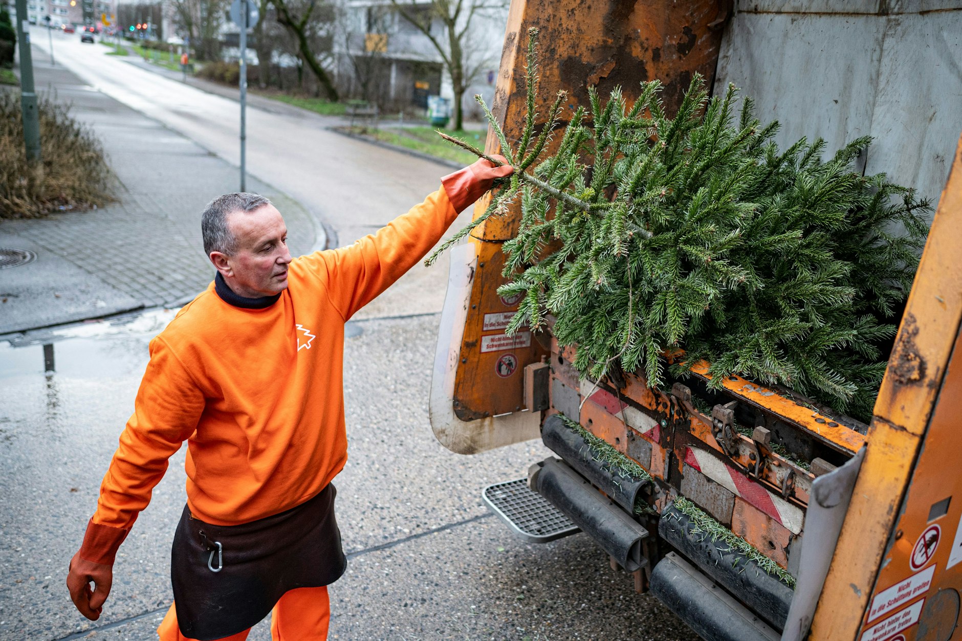 Thomas Schulze, Kraftfahrer bei den Berliner Stadtreinigungsbetrieben (BSR), entsorgt in Berlin-Hohenschönhausen ausgediente Weihnachtsbäume.