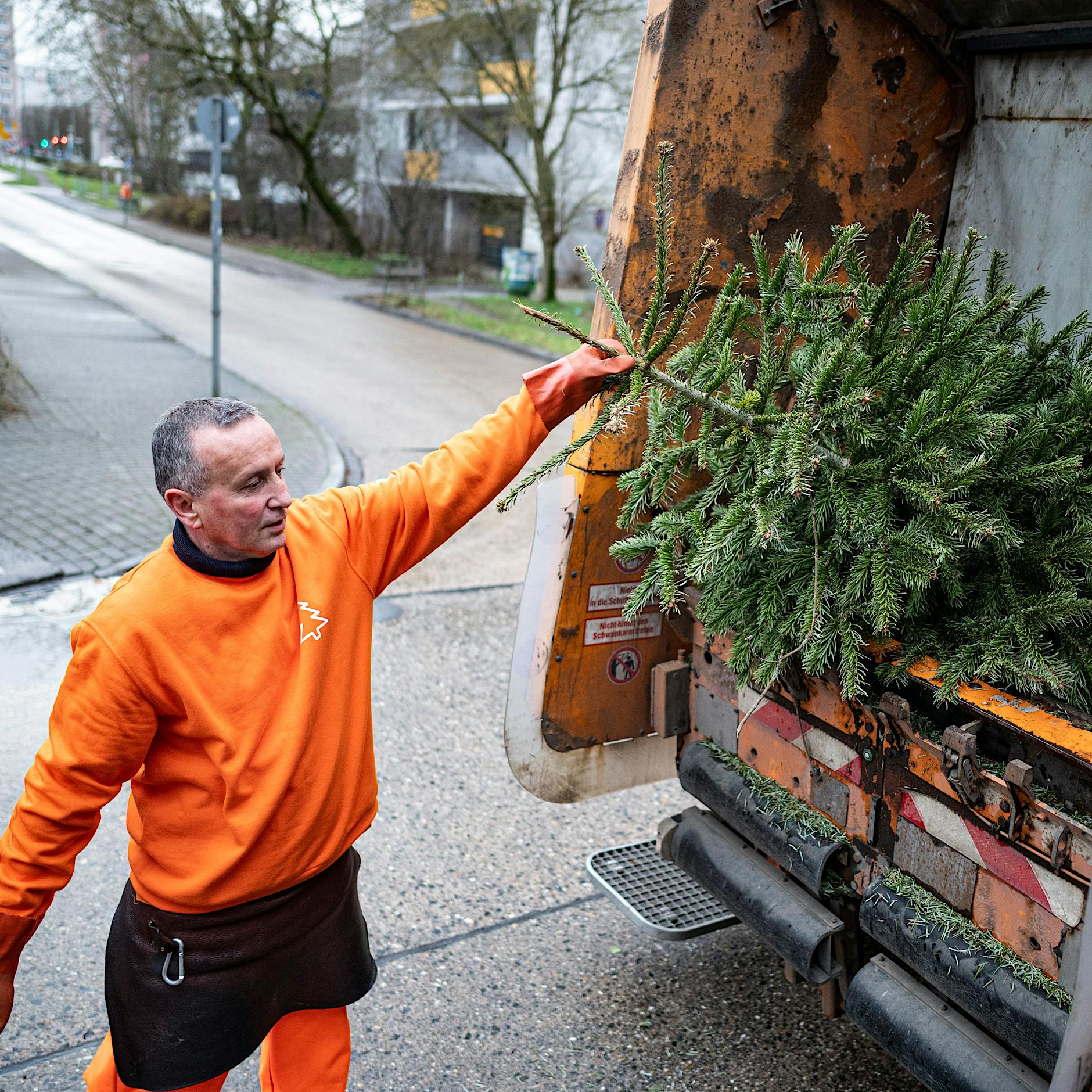 Weihnachtsbaum entsorgen: Das sagt der Zeitpunkt über Ihren Charakter aus