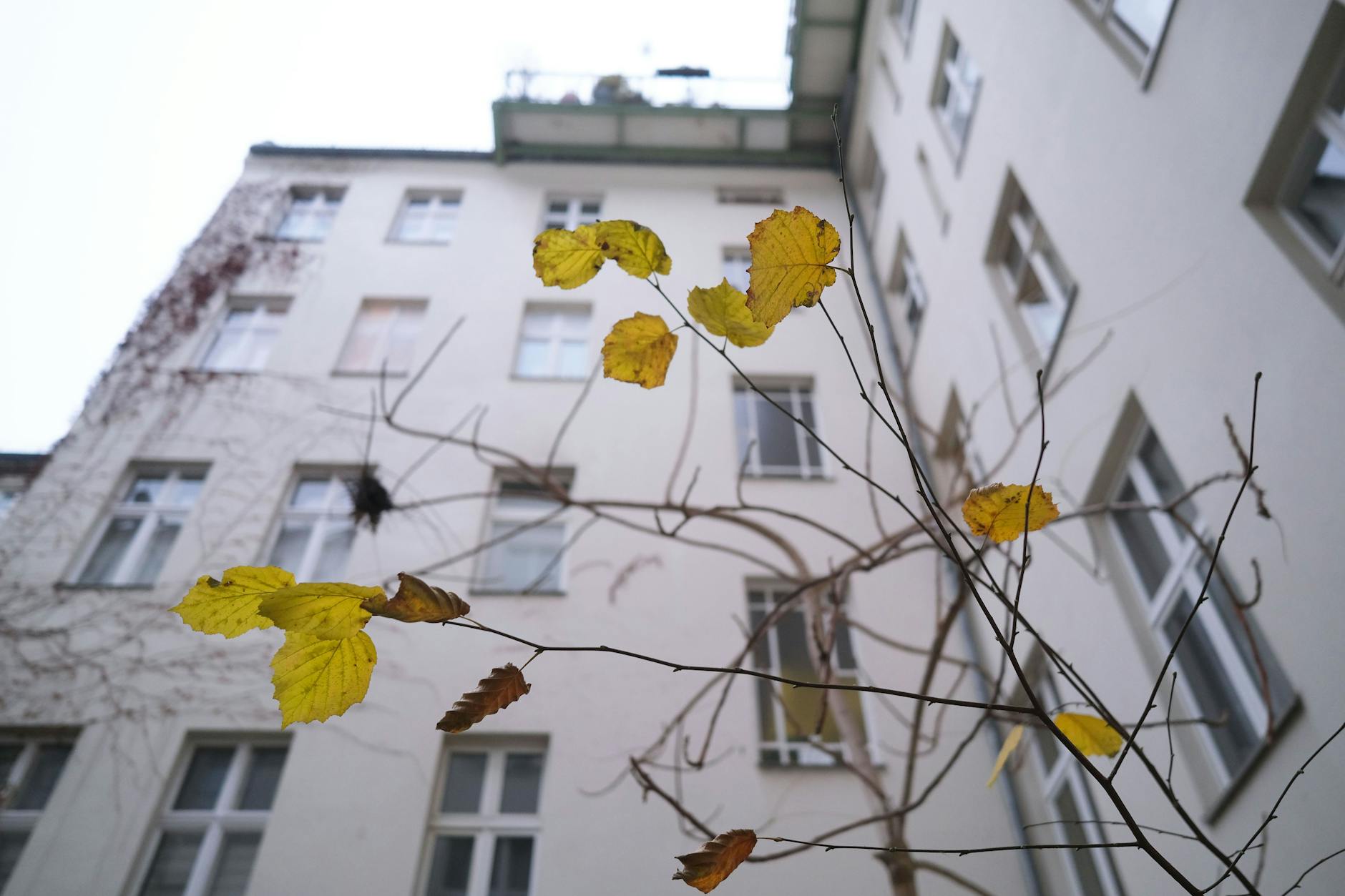 Seit Jahren müssen sich die Mieter des Hauses im Graefekiez mit dem Vermieter wegen Reparaturarbeiten streiten.