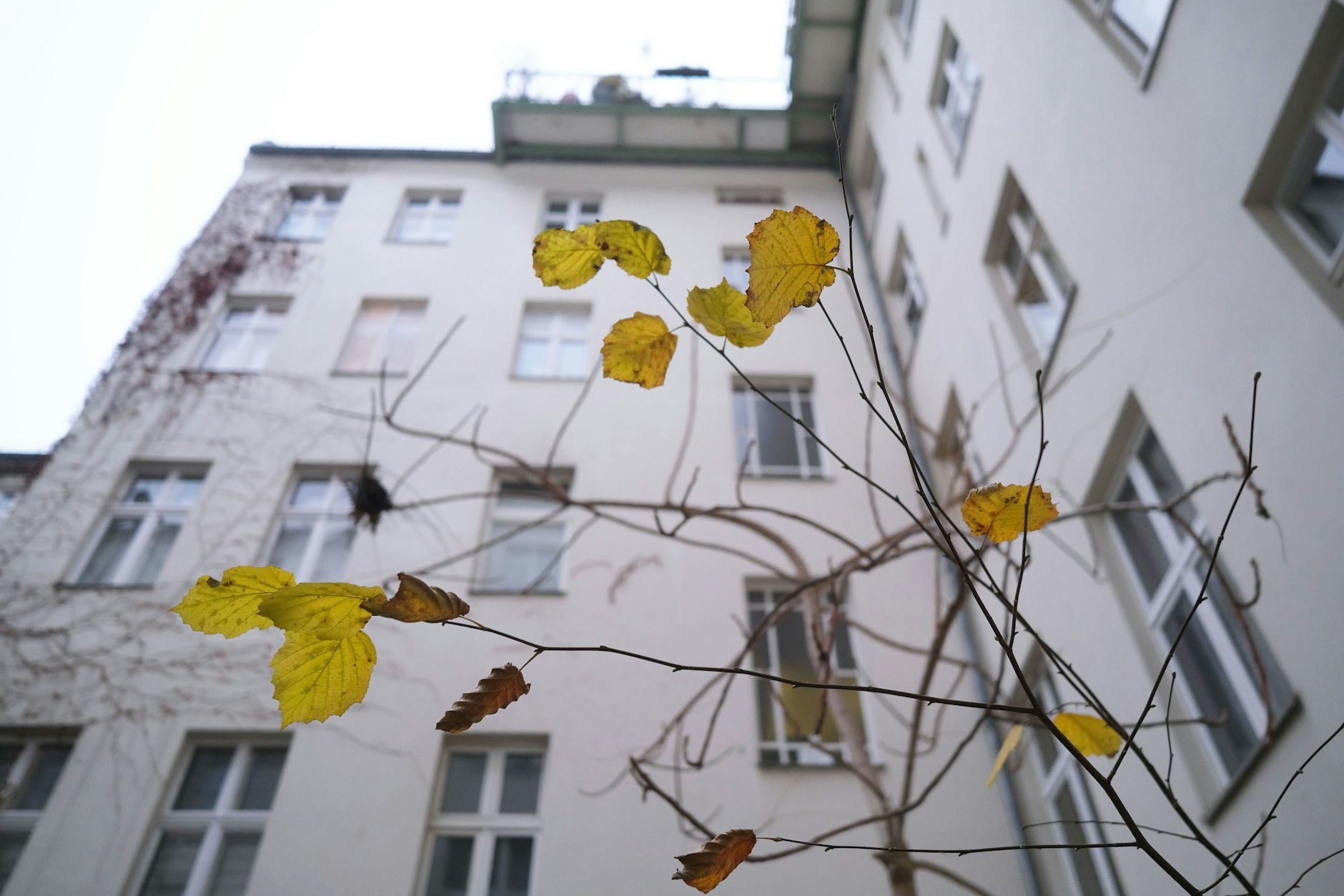 Seit Jahren müssen sich die Mieter des Hauses im Graefekiez mit dem Vermieter wegen Reparaturarbeiten streiten.