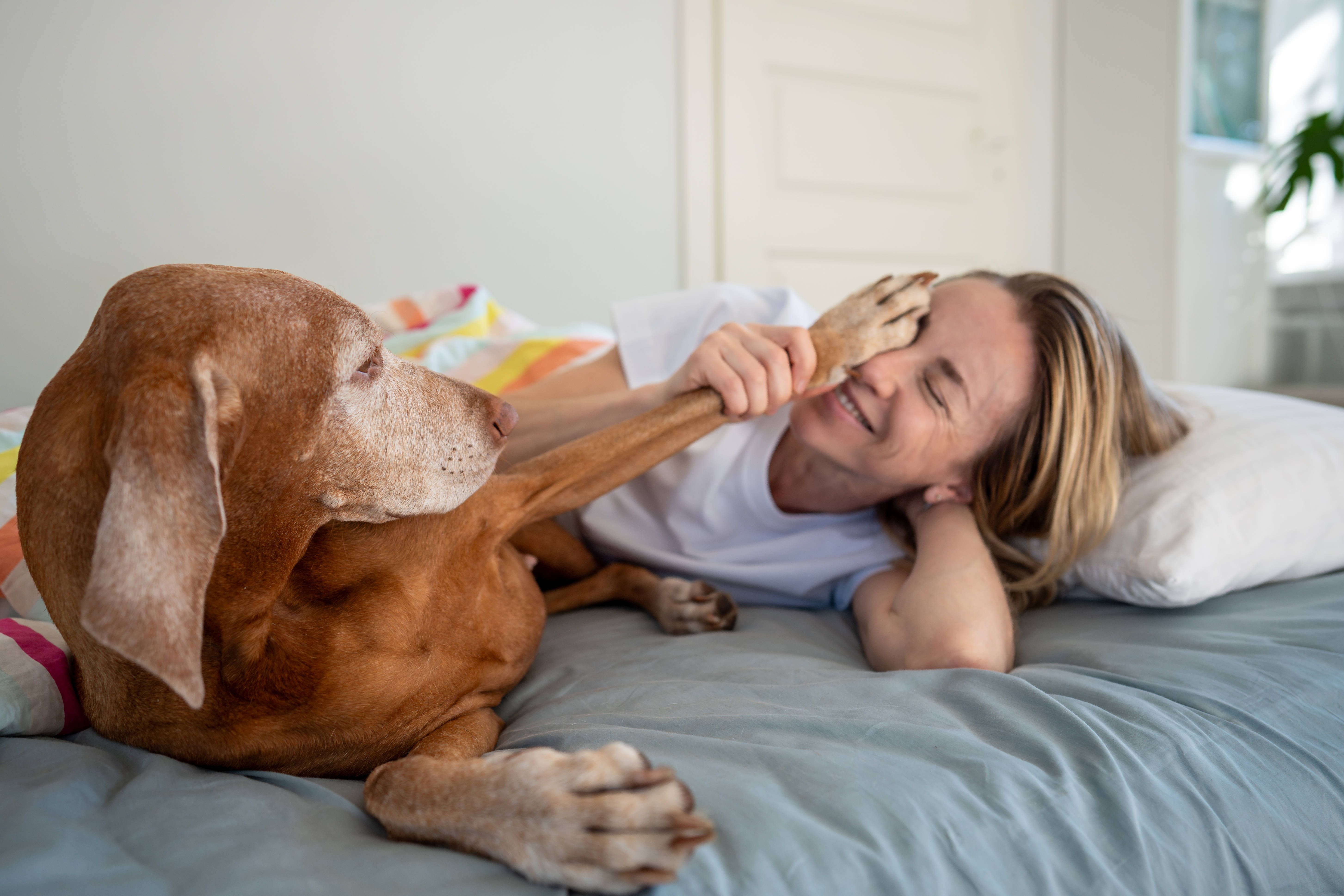 Das große Horoskop für Februar 2025 – Sternzeichen Schütze