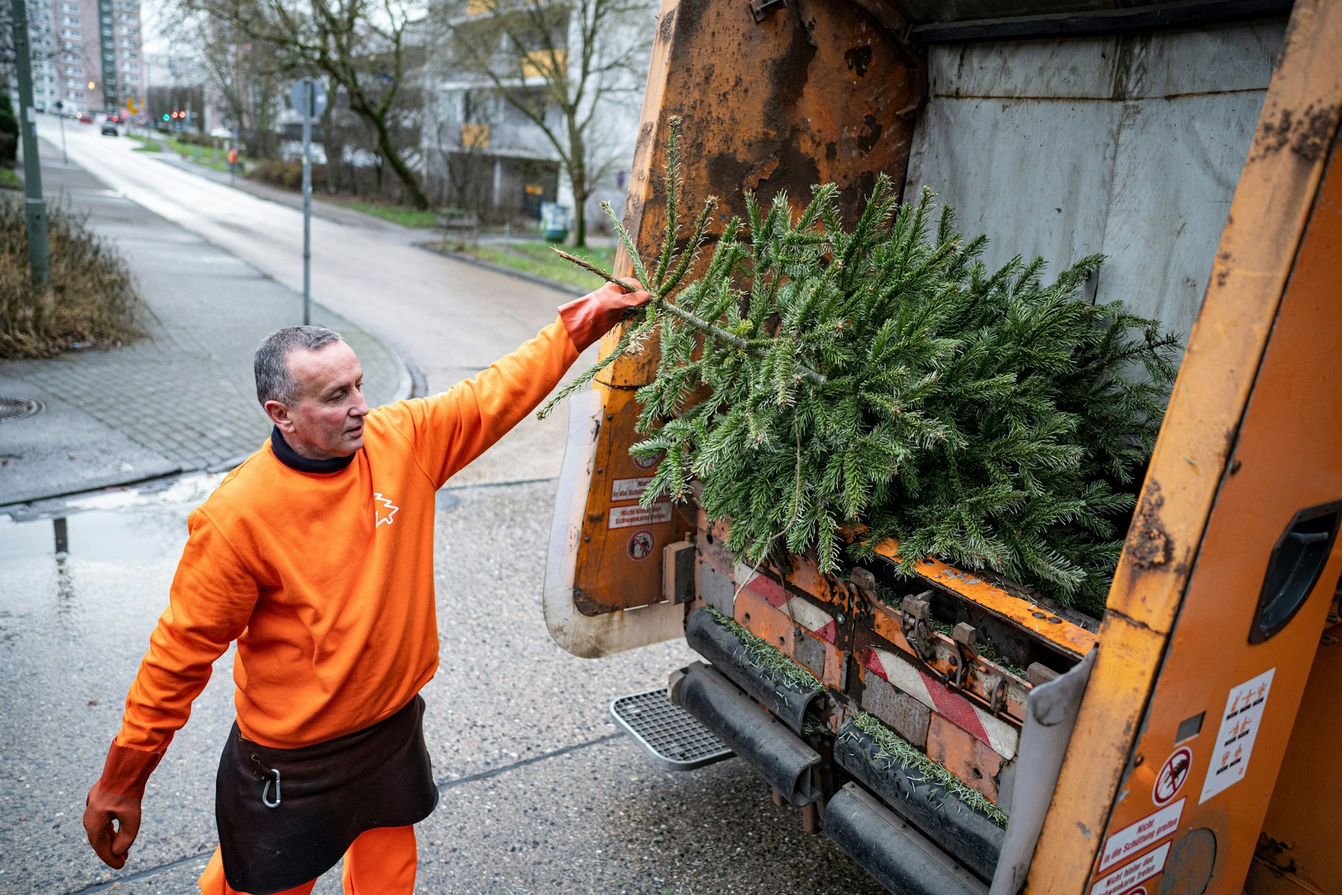 Ein Mitarbeiter der Berliner Stadtreinigung entsorgt Weihnachtsbäume.