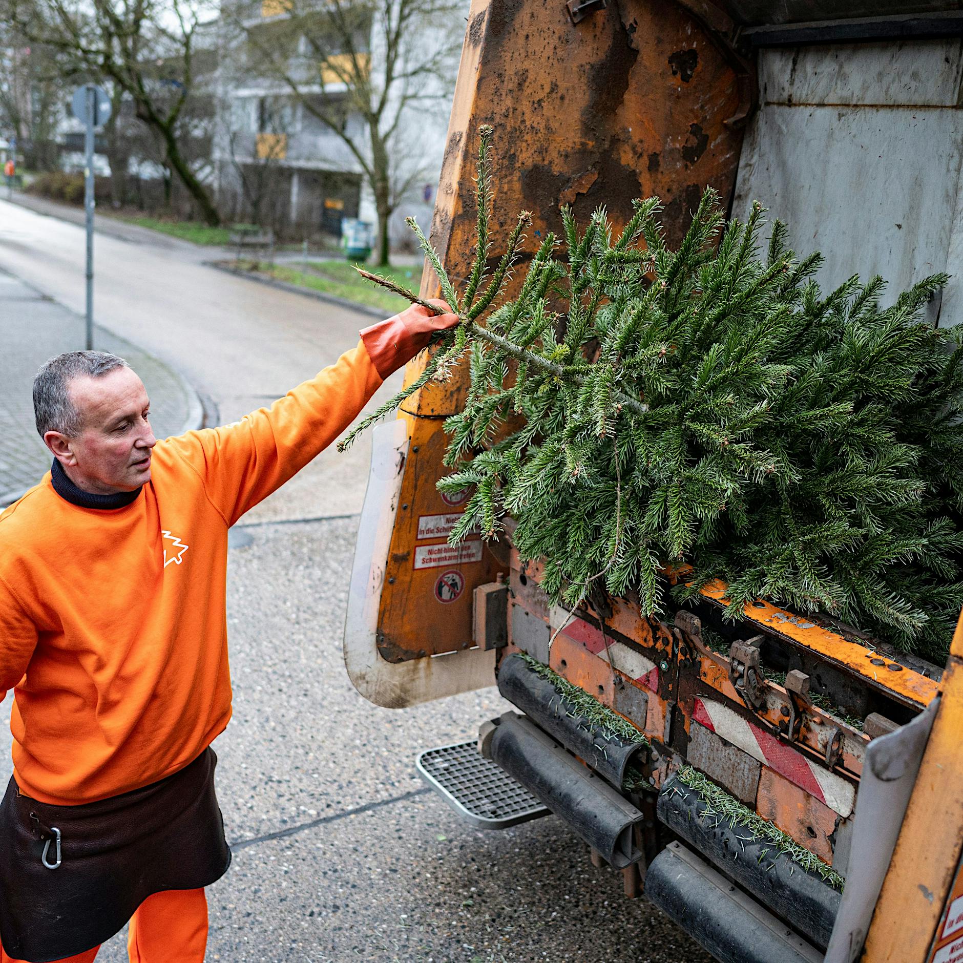 Weihnachtsbaumabholung der BSR in Berlin: Alle Termine im Überblick