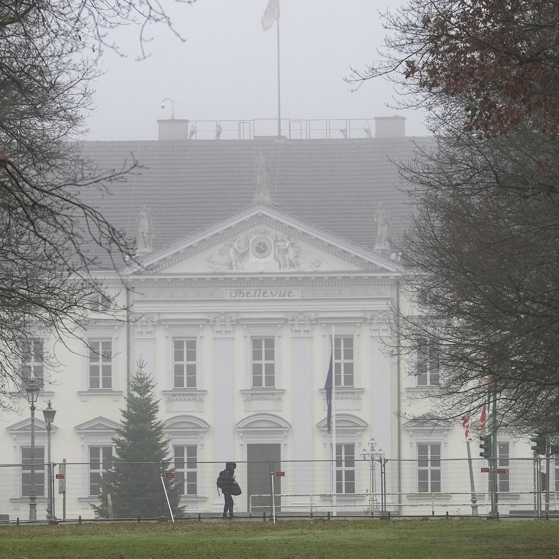 Steinmeier ein Tyrann? Dank Elon Musk ist Putin nicht mehr allein am deutschen Elend schuld