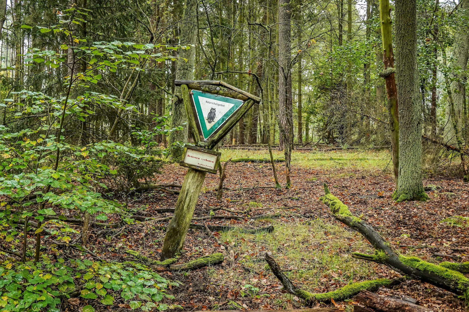 Der Bezirk Spandau arbeitet an einem Klimaschutzkonzept.