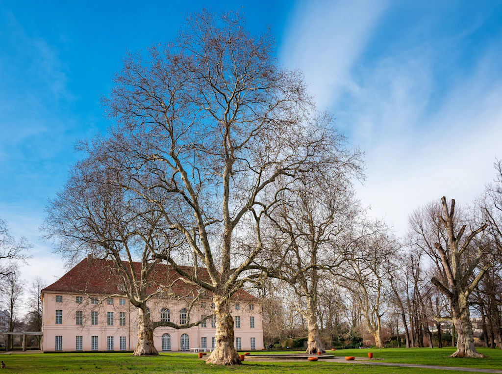 Pankow: Pflanzlisten für mehr Biodiversität auf öffentlichen Flächen