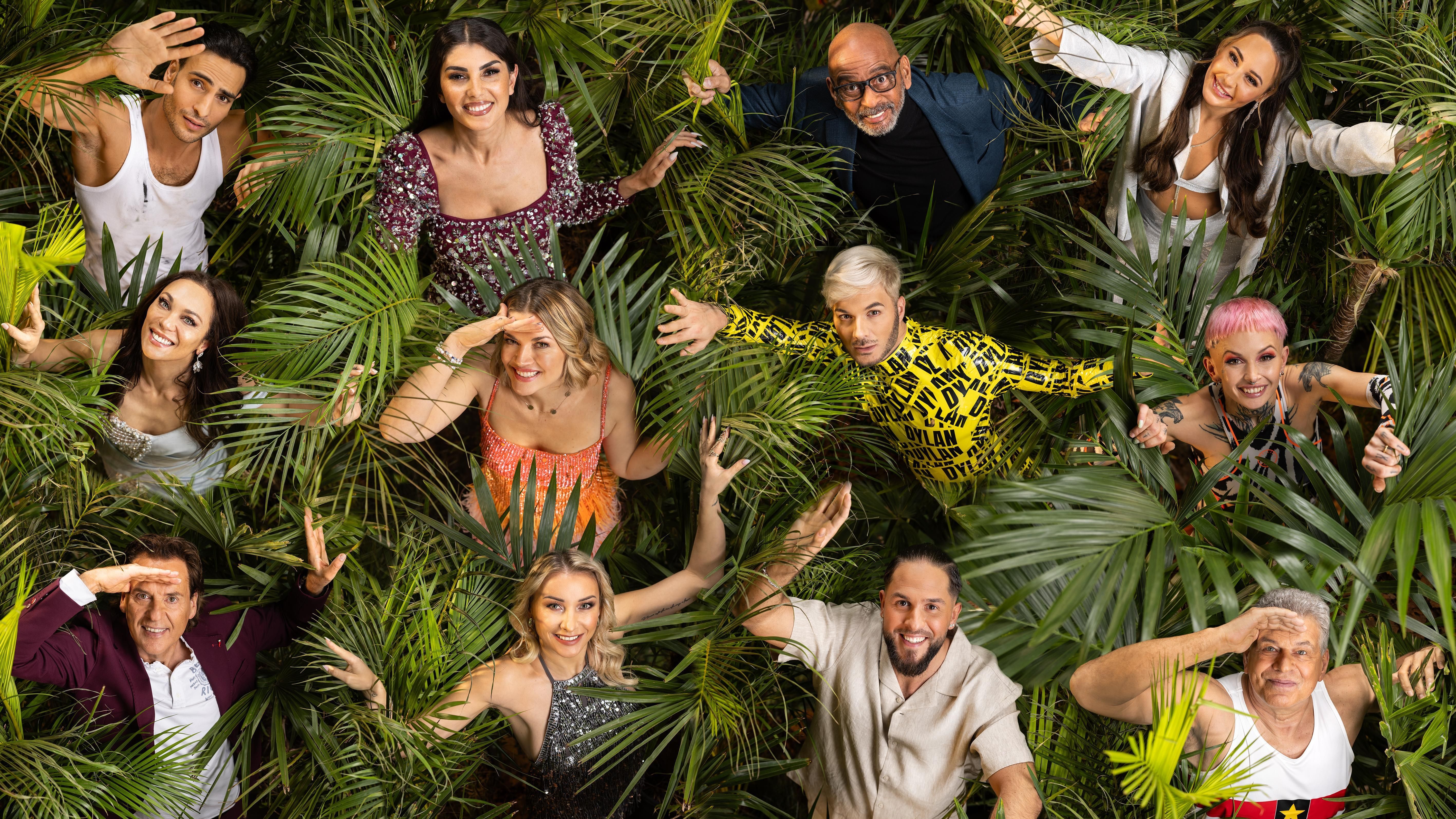 Dschungelcamp 2025: Gagen enthüllt! DAS verdienen die 12 Stars