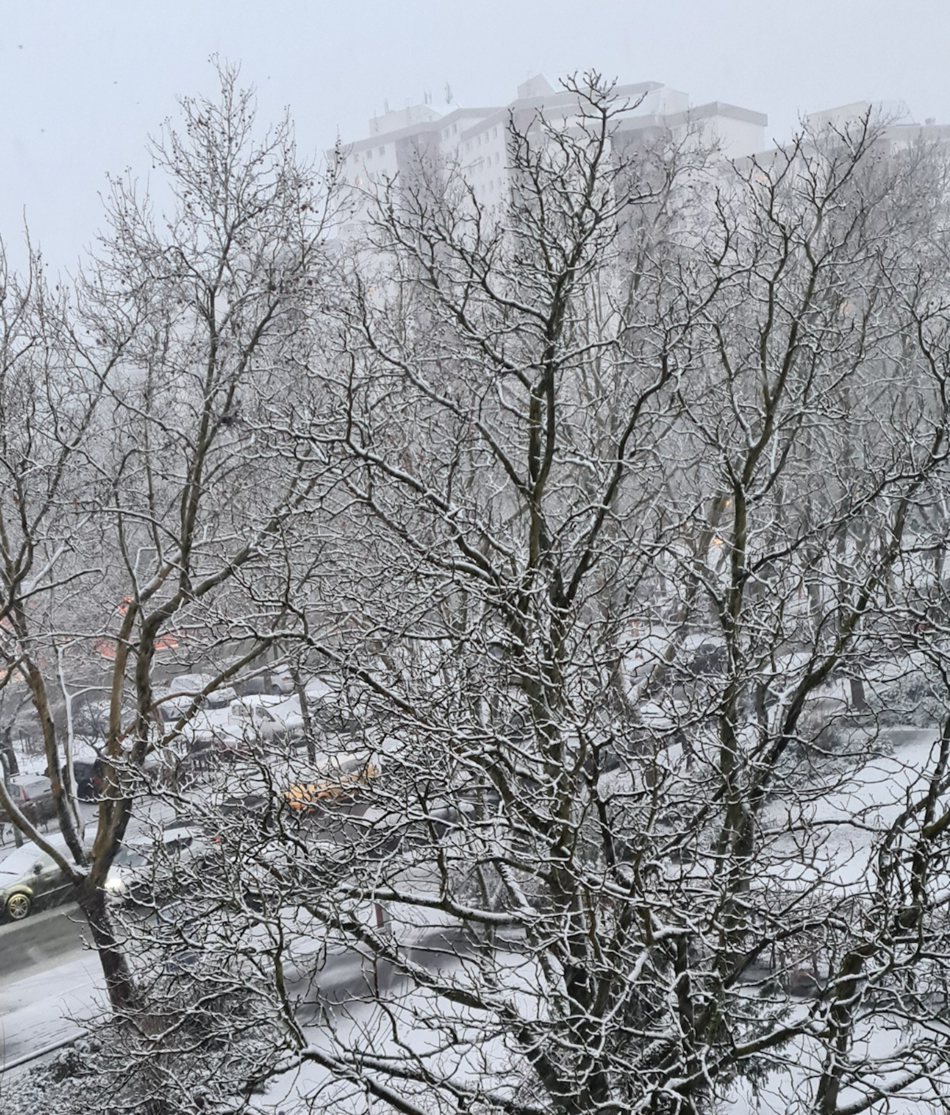 Ein tolles Winterfoto von KURIER-Leserin Sabi Ne.