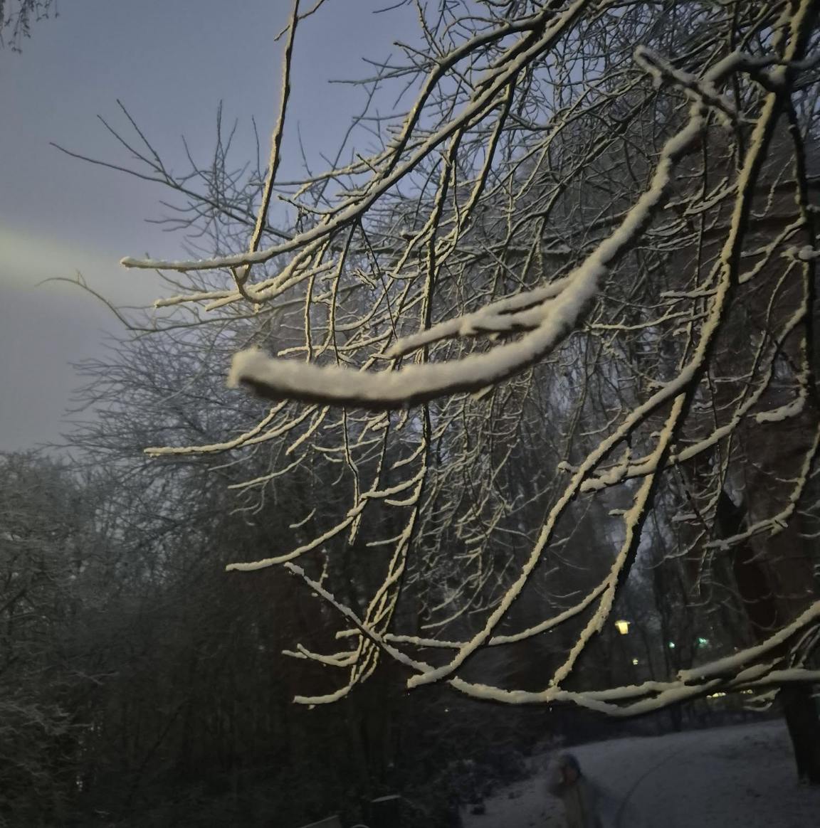 Danke, Sascha Blank, für dein schönes Schneefoto!