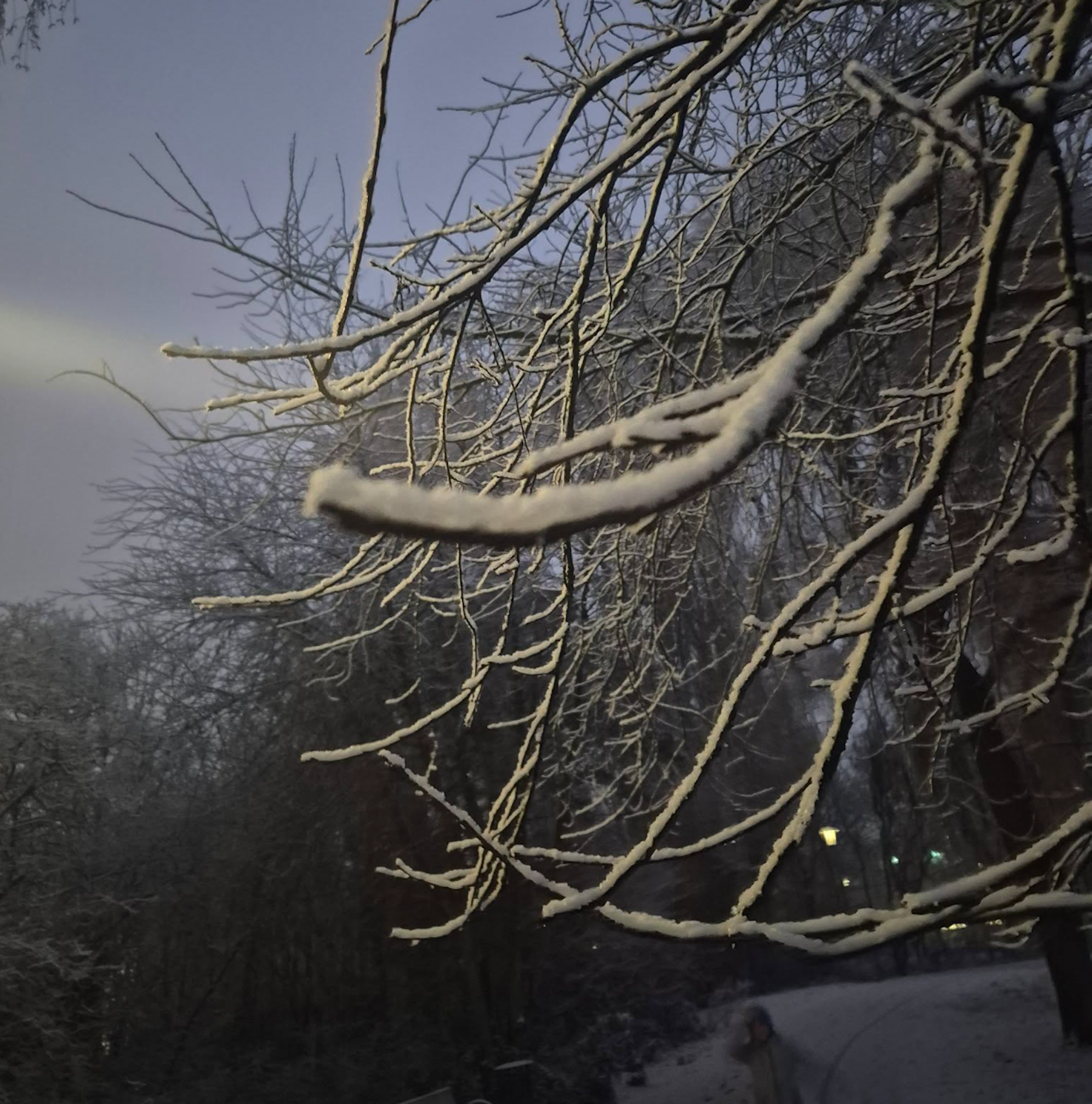 Danke, Sascha Blank, für dein schönes Schneefoto!
