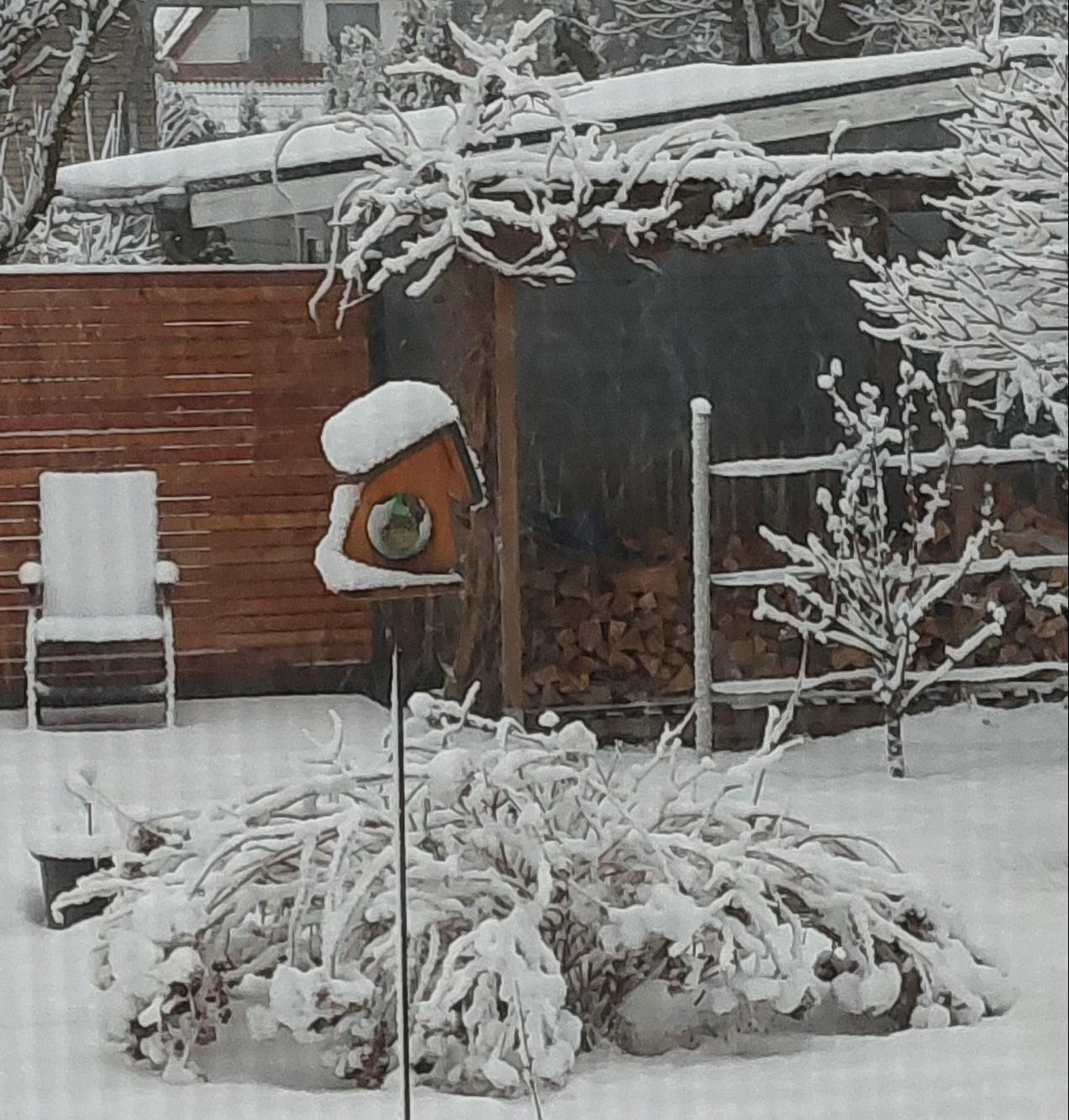 So viel Schnee liegt bei Marina Reyher – allerdings schickt sie Grüße aus dem Harz!