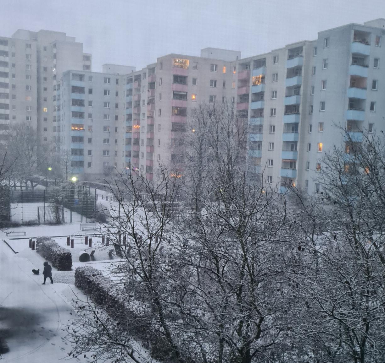 Danke, KURIER-Leserin Sabi Ne, für das schöne Winterfoto!
