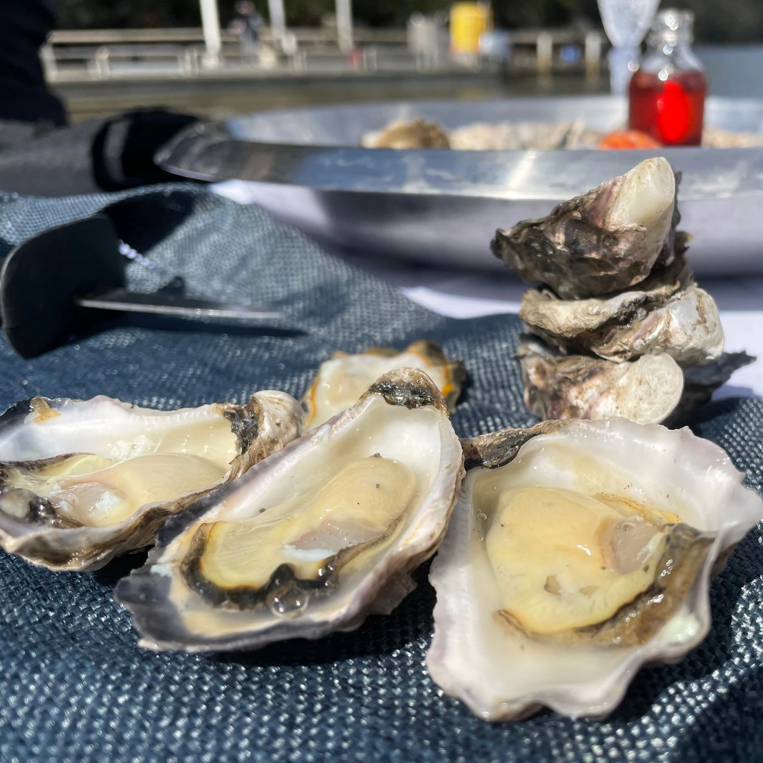 Fertig zum Verzehr - frische Sydney Rock Oysters.