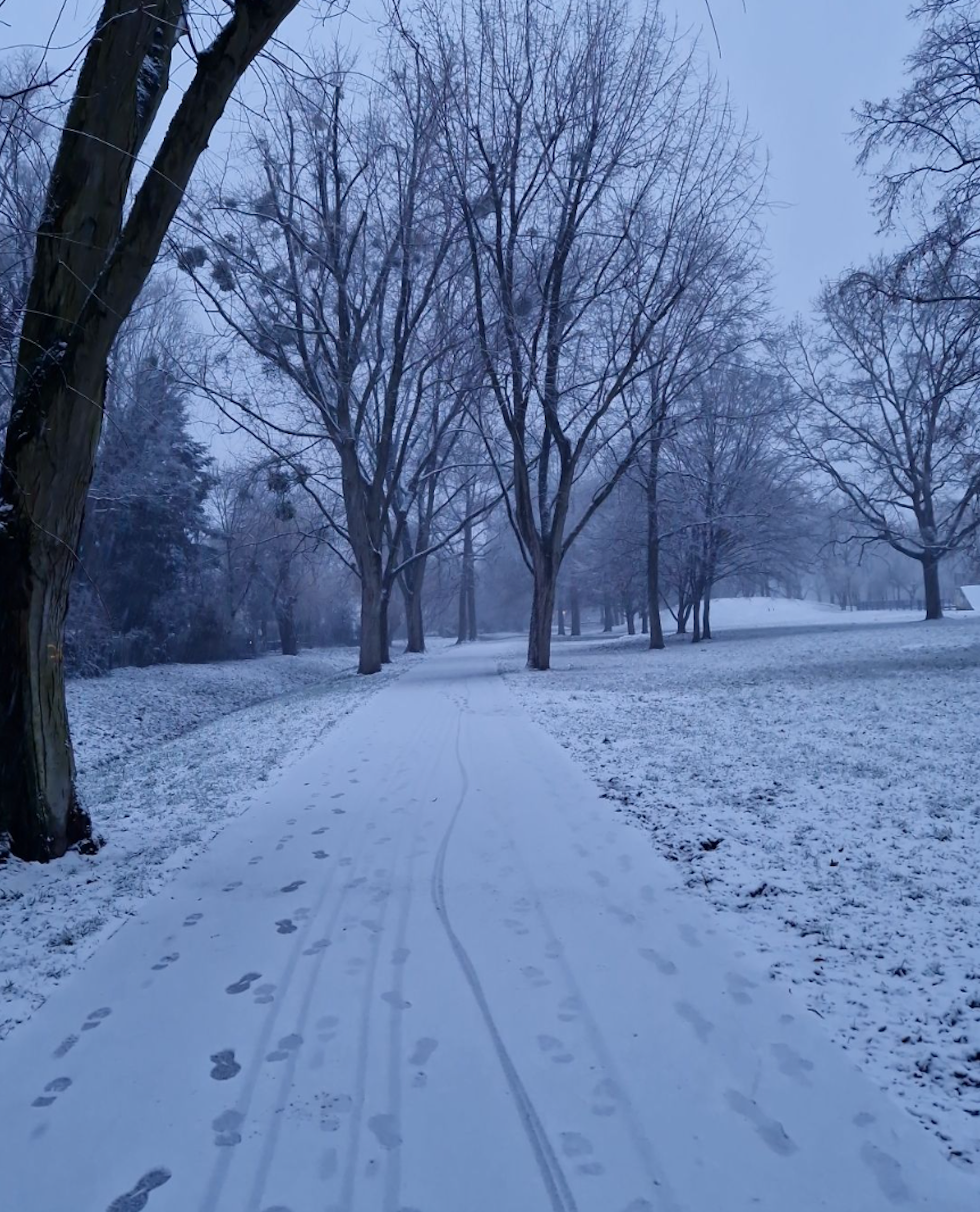 Kevin Wachter machte diese Aufnahme beim winterlichen Spaziergang!