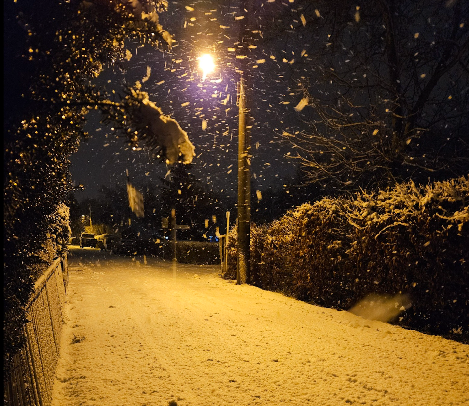 Tolles Foto von Kessy Bolle in Berlin Wartenberg!