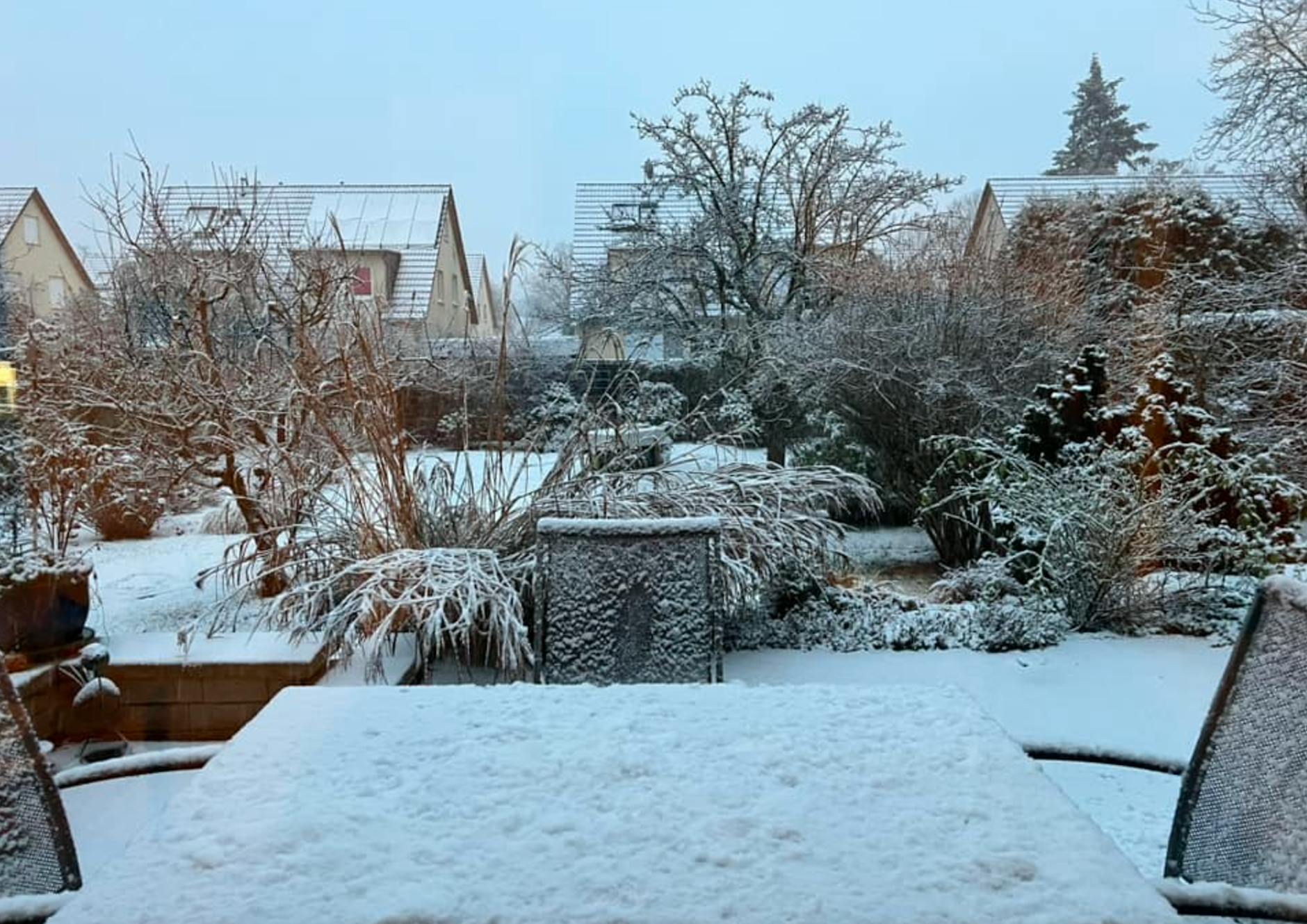 Danke, Mar Tina, für die schöne Aufnahme des Wintergartens!