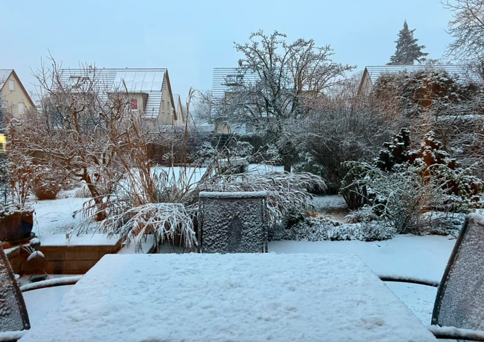 Danke, Mar Tina, für die schöne Aufnahme des Wintergartens!