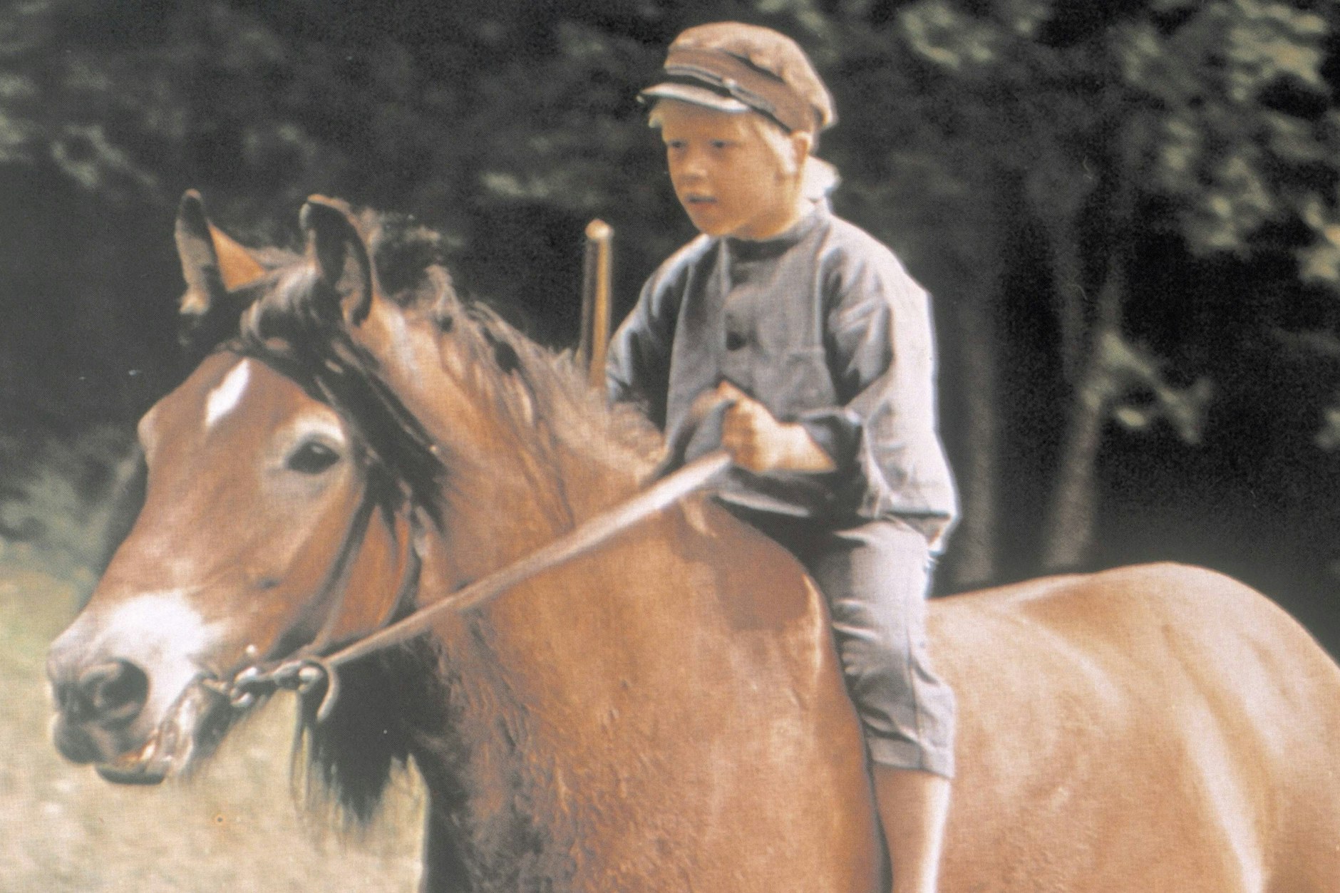 Michel aus Lönneberga ist Kult - aber gibt es das in der Geschichte erwähnte Lönneberga wirklich?