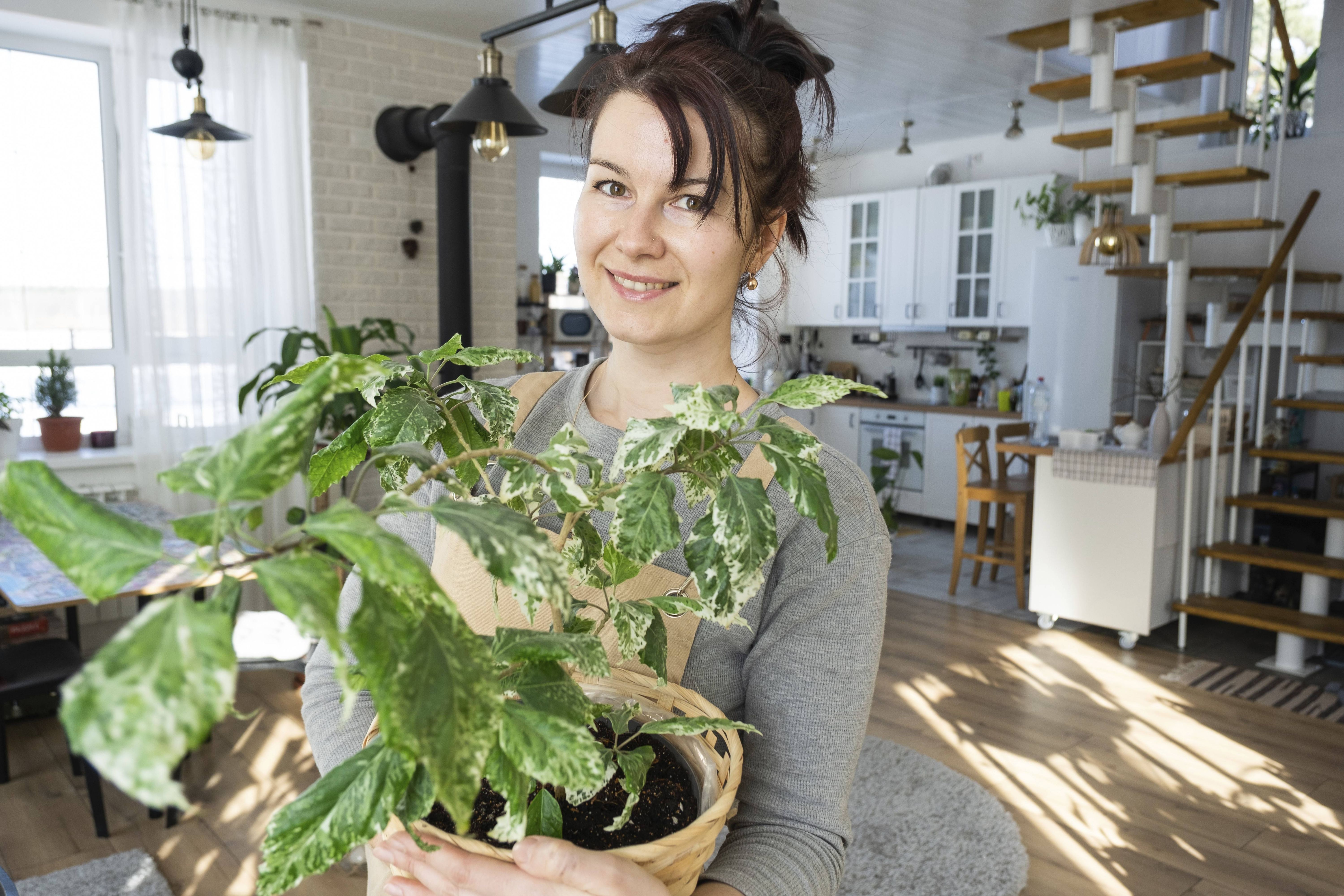 Laut Horoskop: Drei Sternzeichen brauchen im Februar viel Ordnung!