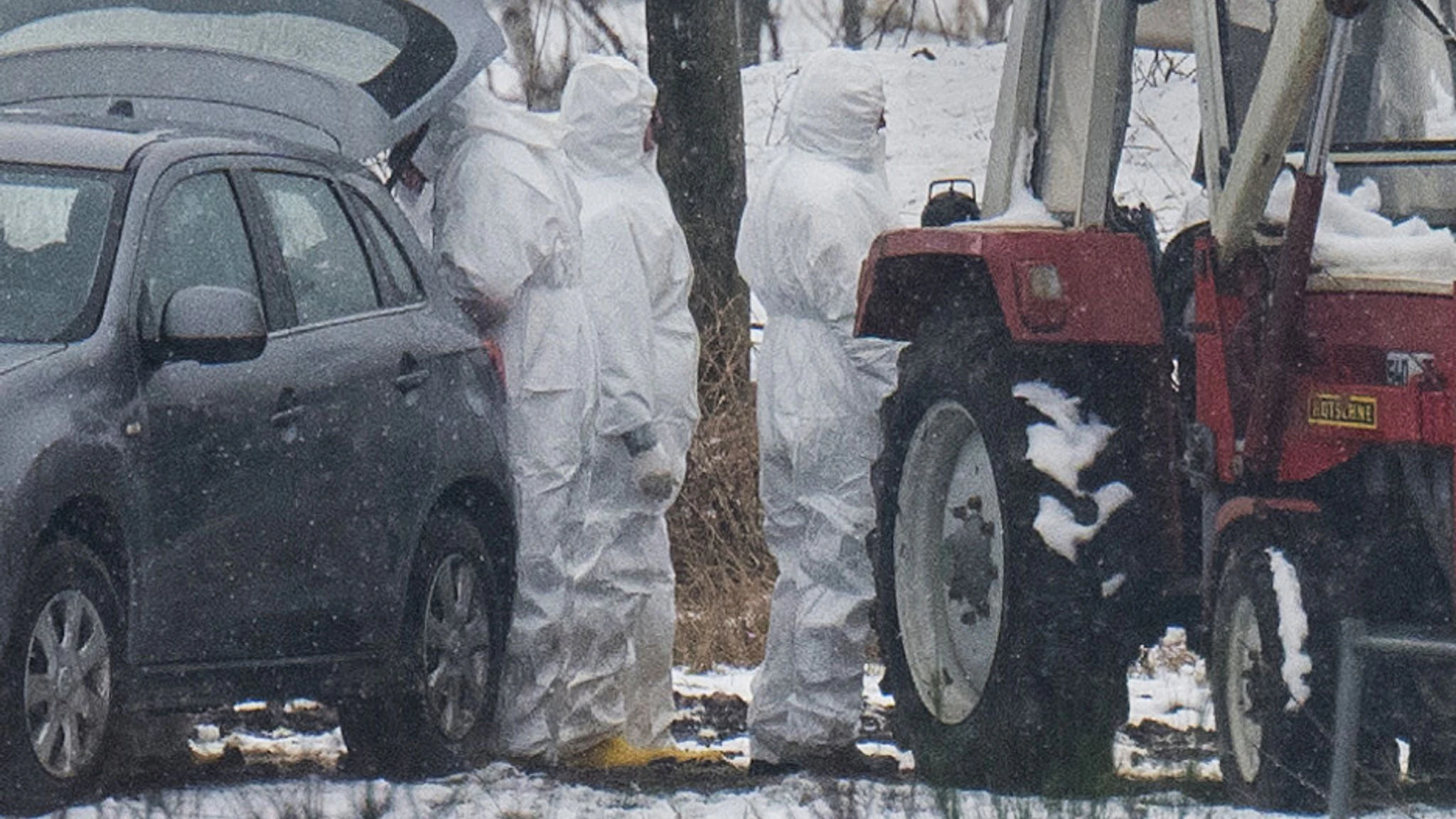 Personen in Schutzanzügen stehen auf einer Weide im Landkreis MOL. In Hönow gab es die ersten Fälle von Maul- und Klauenseuche.
