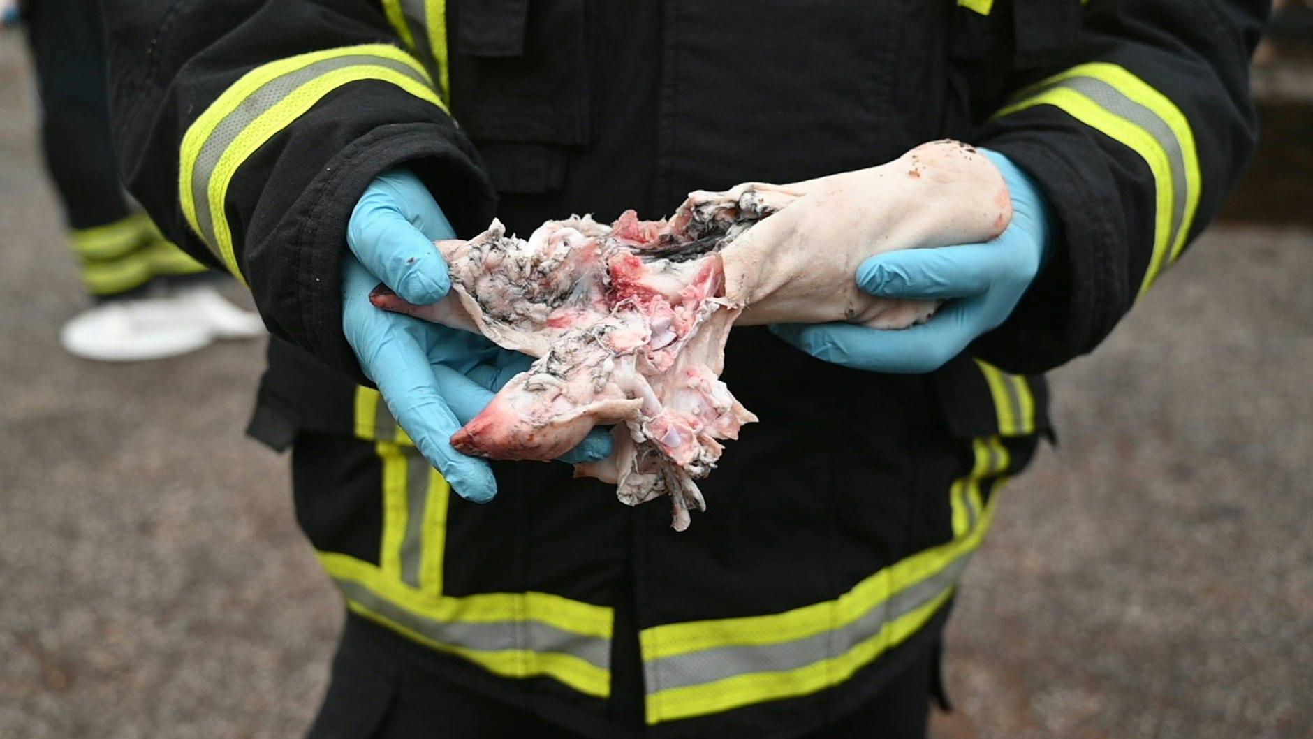 Immer wieder demonstriert die Feuerwehr, was für schwere Verletzungen illegales Feuerwerk verursachen kann.