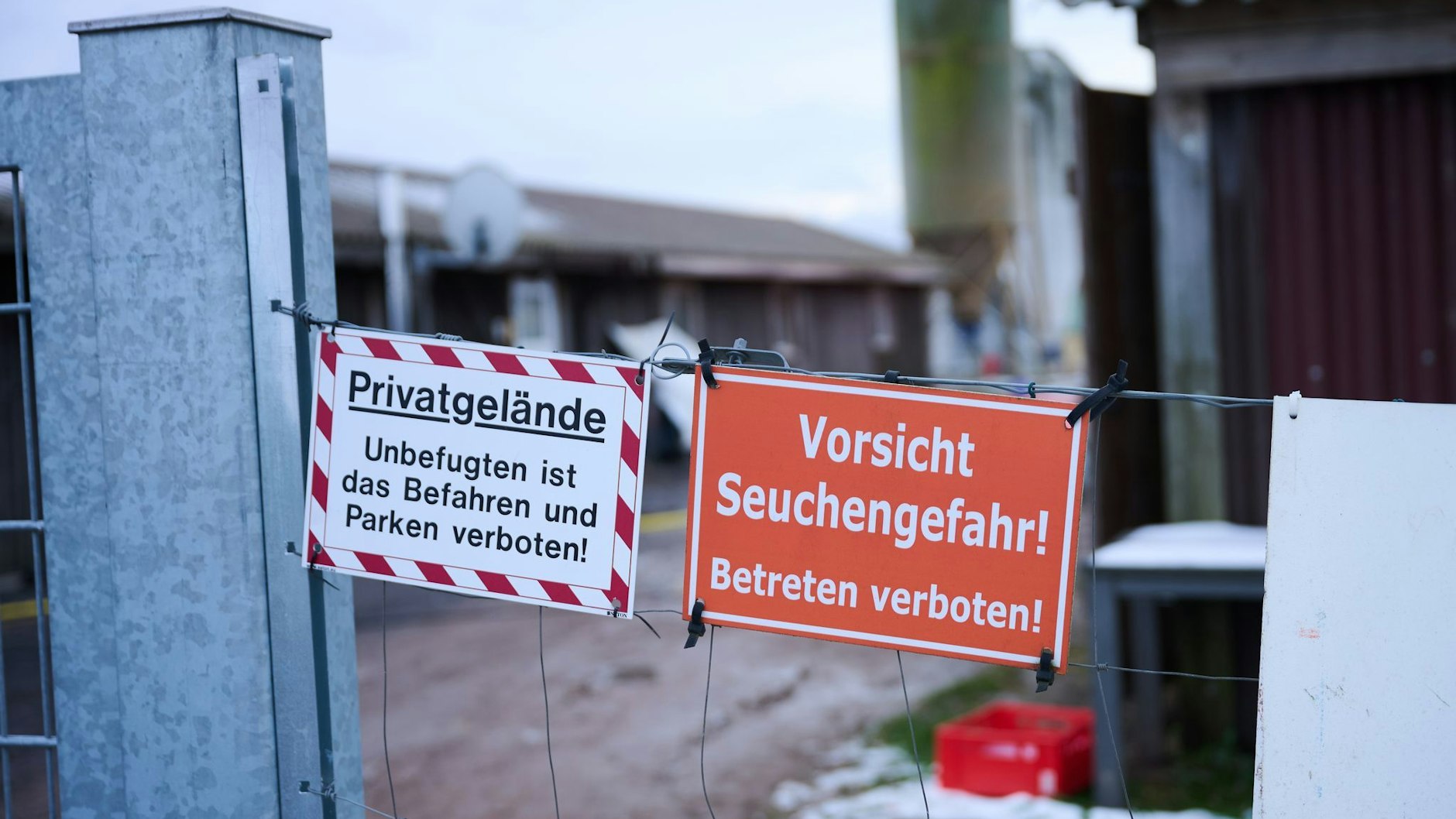 „Vorsicht Seuchengefahr!“ In einem Betrieb in Mehrow (Landkreis Barnim) wurden vorsorglich rund 200 Schweine getötet.