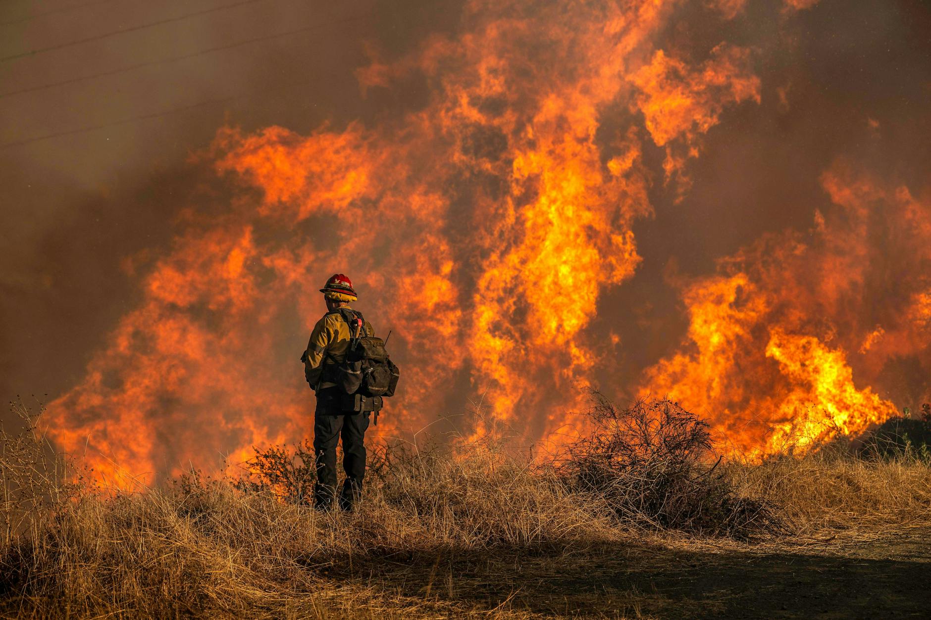 Los Angeles, 11. Januar: Ein Feuerwehrmann in der Nähe eines Brandes im Mandeville-Canyon während der Palisades-Feuer.