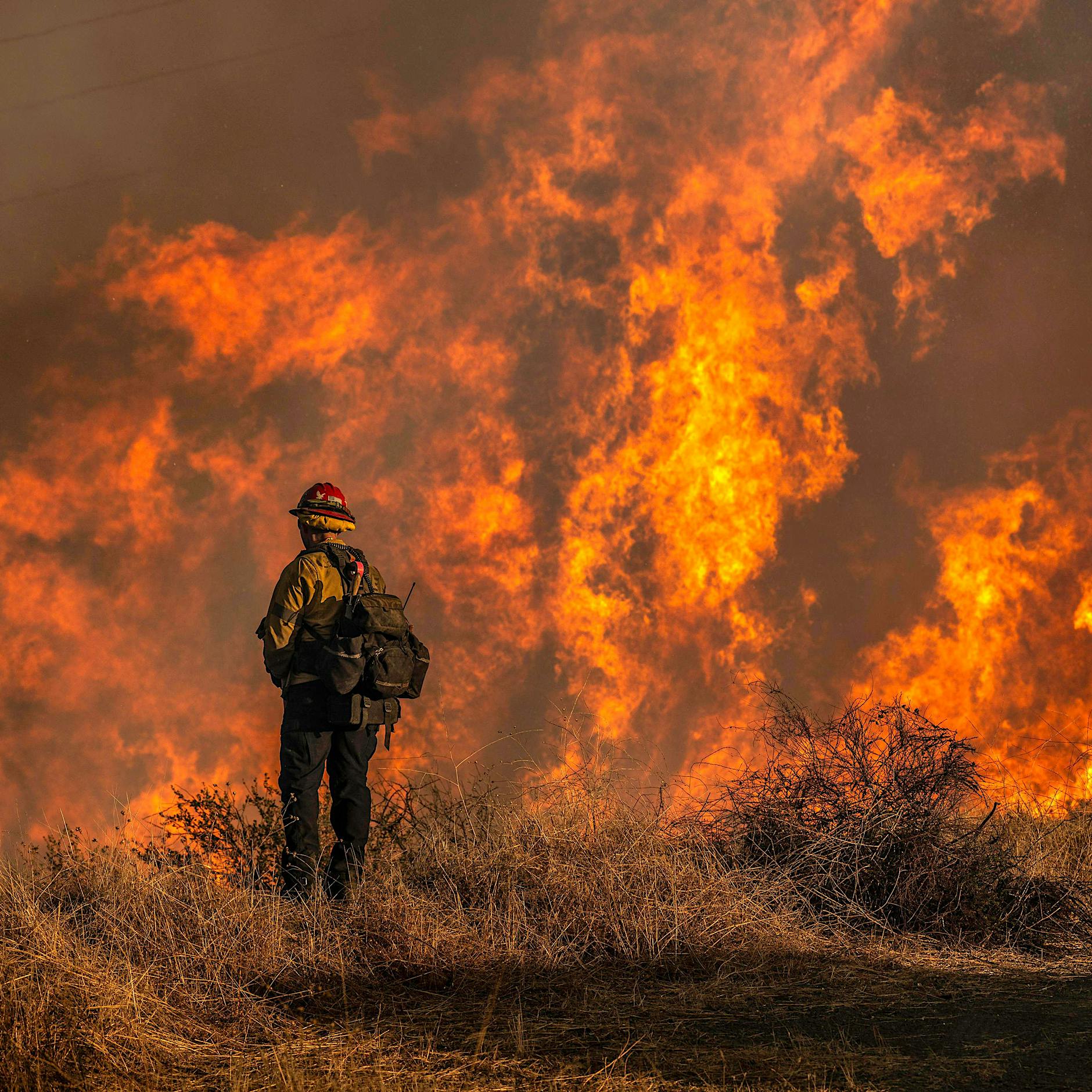US-Klimaaktivist über die Brände in Los Angeles: „Feuer gehören zu Kalifornien“
