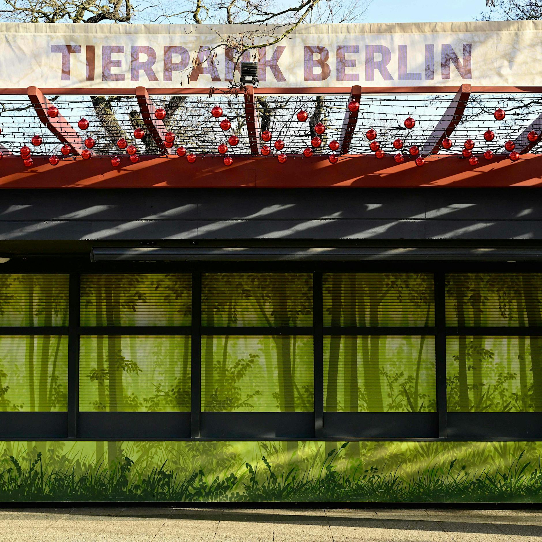 Erster MKS-Ausbruch seit 35 Jahren: Berliner Zoo und Tierpark bleiben vorerst geschlossen