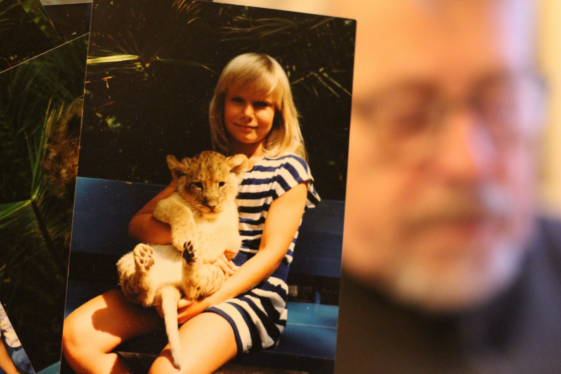 Die Fotografien,auf denen Kinder mit Löwen kuscheln, liegen in Haufen bei Michael Barz auf dem Sofa-Tisch. Haben auch Sie sich vom DDR-Tierparkfotograf ablichten lassen? Schicken Sie uns eine Mail an leser-bk@berlinerverlag.com – wir freuen uns!