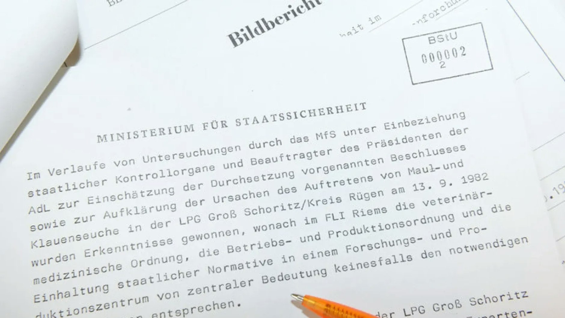Blick auf den Stasi-Bericht über die Maul- und Klauenseuche von 1982 im Norden der DDR