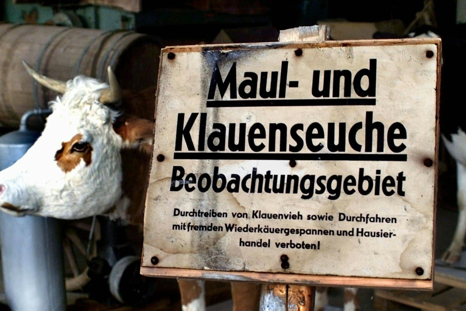Solche ähnlichen Schilder standen noch vor über 40 Jahren in Deutschland – auch in der DDR. Dort war in einem Fall von Maul- und Klauenseuche sogar die Stasi im Einsatz.