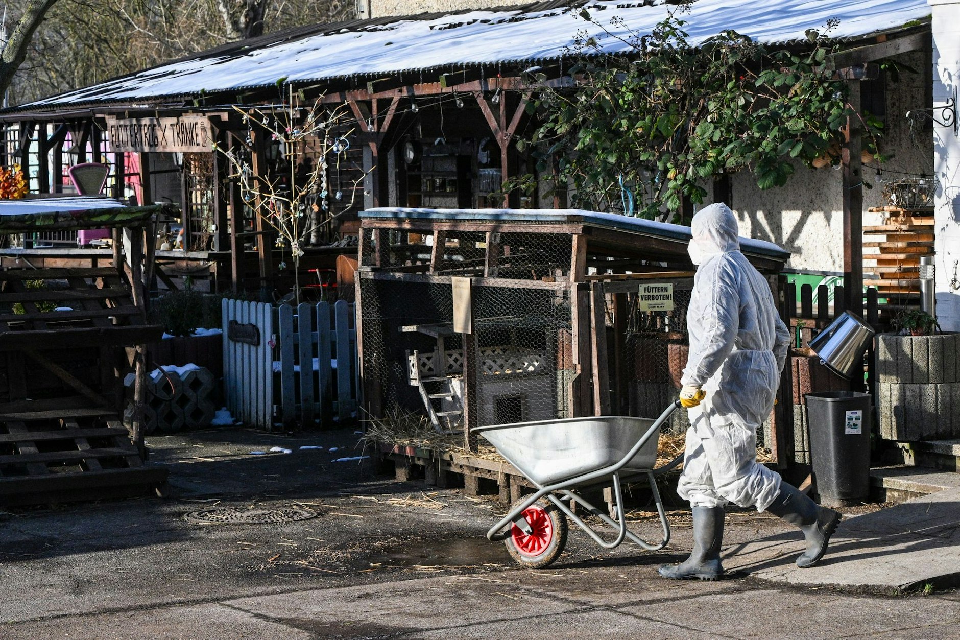 Auch in Berlin hat der Ausbruch der Maul- und Klauenseuche Auswirkungen.