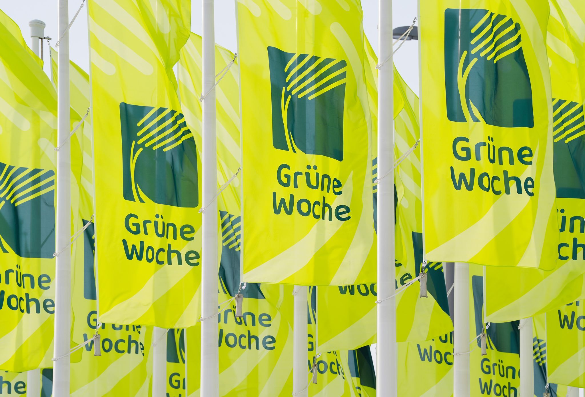 Image - Grüne Woche Berlin startet am Wochenende – DAS müssen Sie wissen