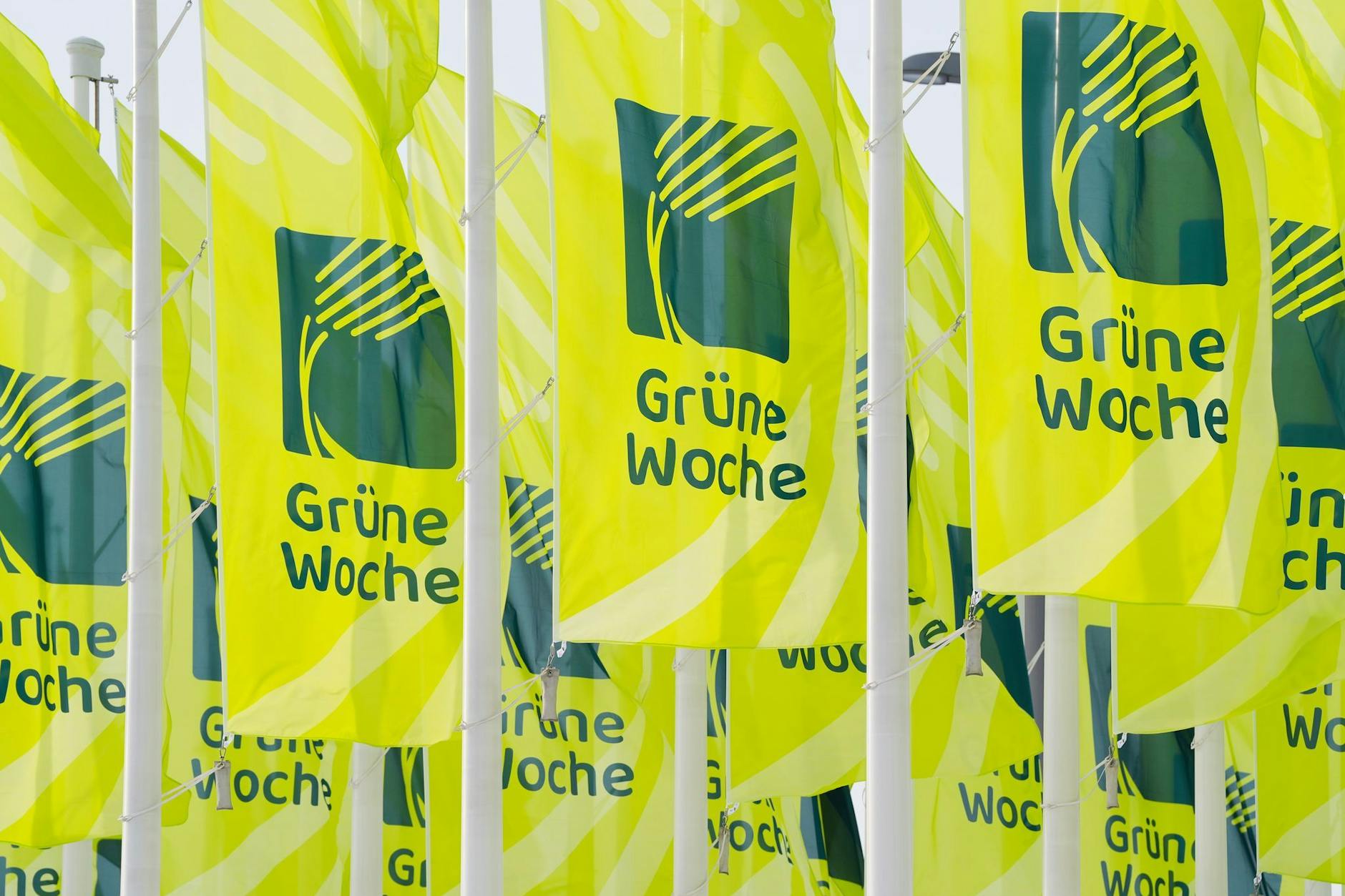 Die Flaggen der Grünen Woche 204 wehen vor der Eröffnung der Messe am Eingang zum Messegelände.
