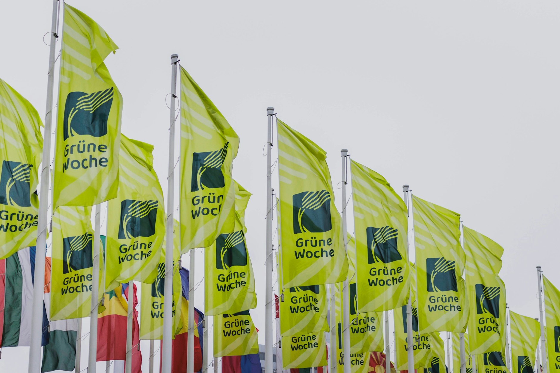 Vor dem Messegelände wehen schon die Fahnen für die Grüne Woche in Berlin.