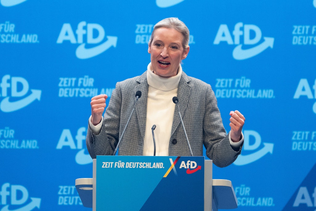 Niemand Geht An Mein Schnitzel AfD-Chefin Alice Weidel wird zum Techno-Star: „Niemand geht an mein